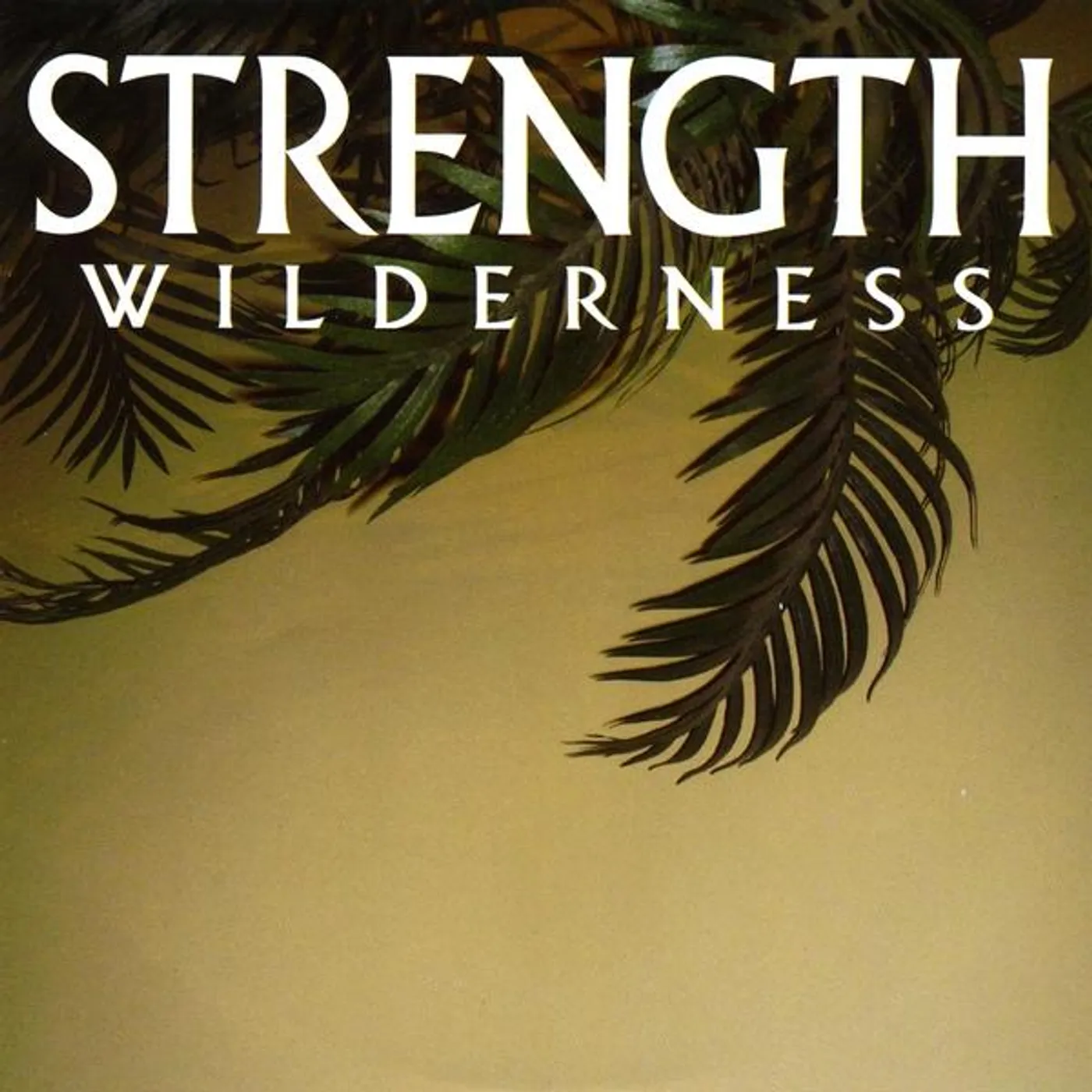 Strength WILDERNESS EP CD