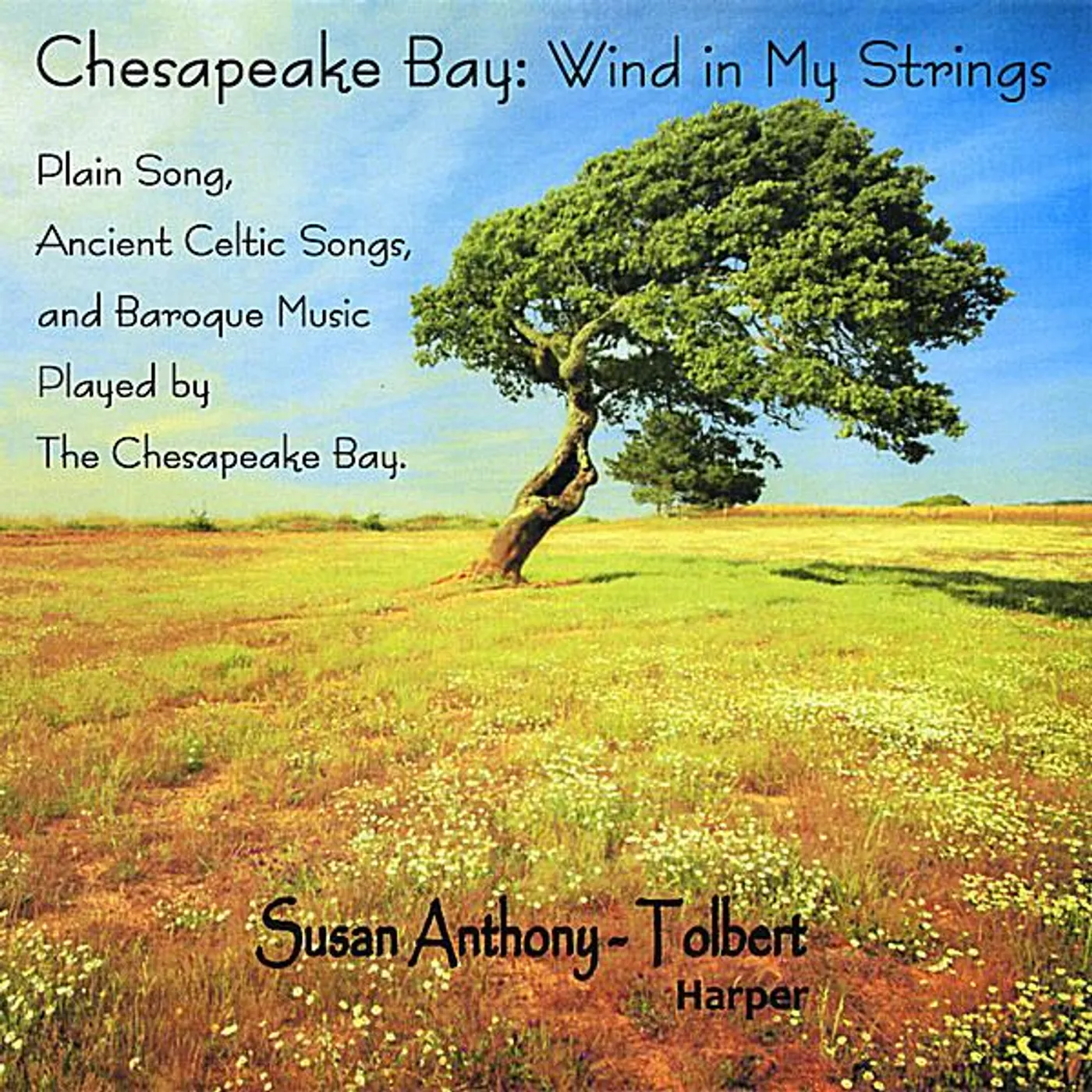 Susan Anthony-Tolbert CHESAPEAKE BAY: WIND IN MY STRINGS CD