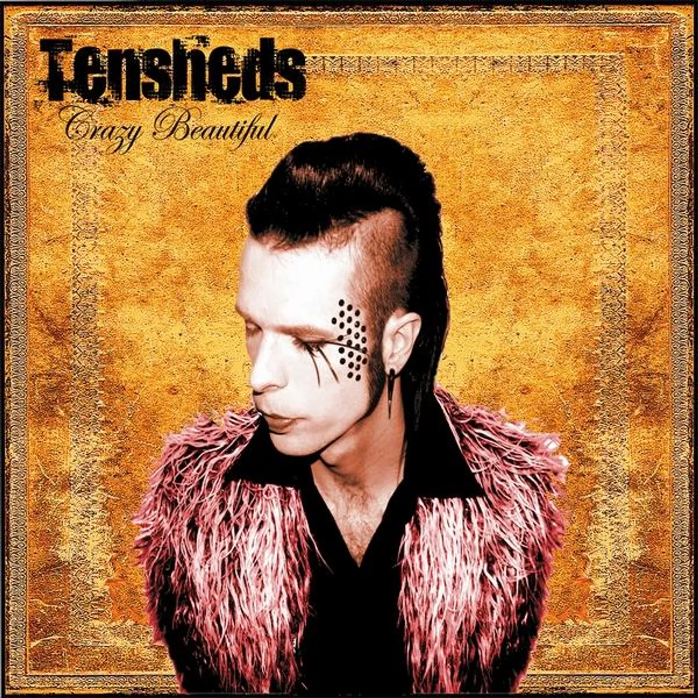 Tensheds CRAZY BEAUTIFUL CD