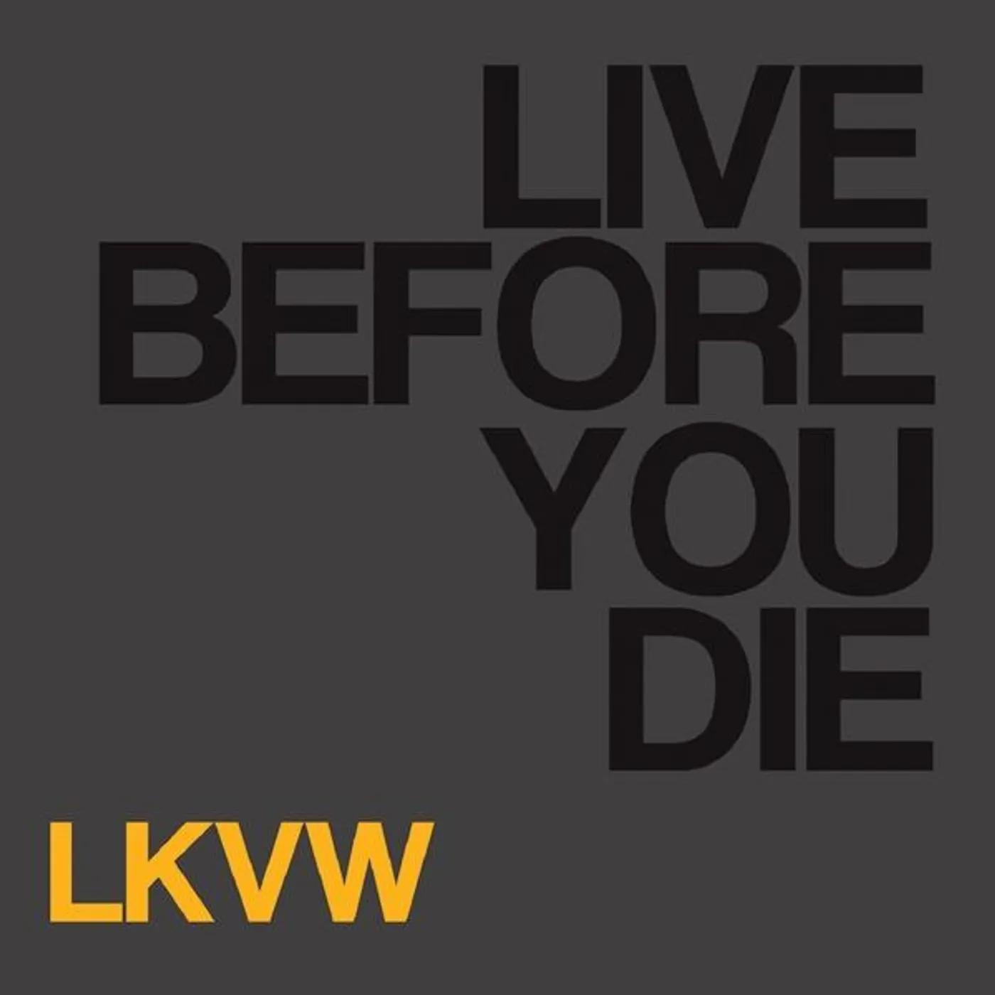 Lakeview LIVE BEFORE YOU DIE CD