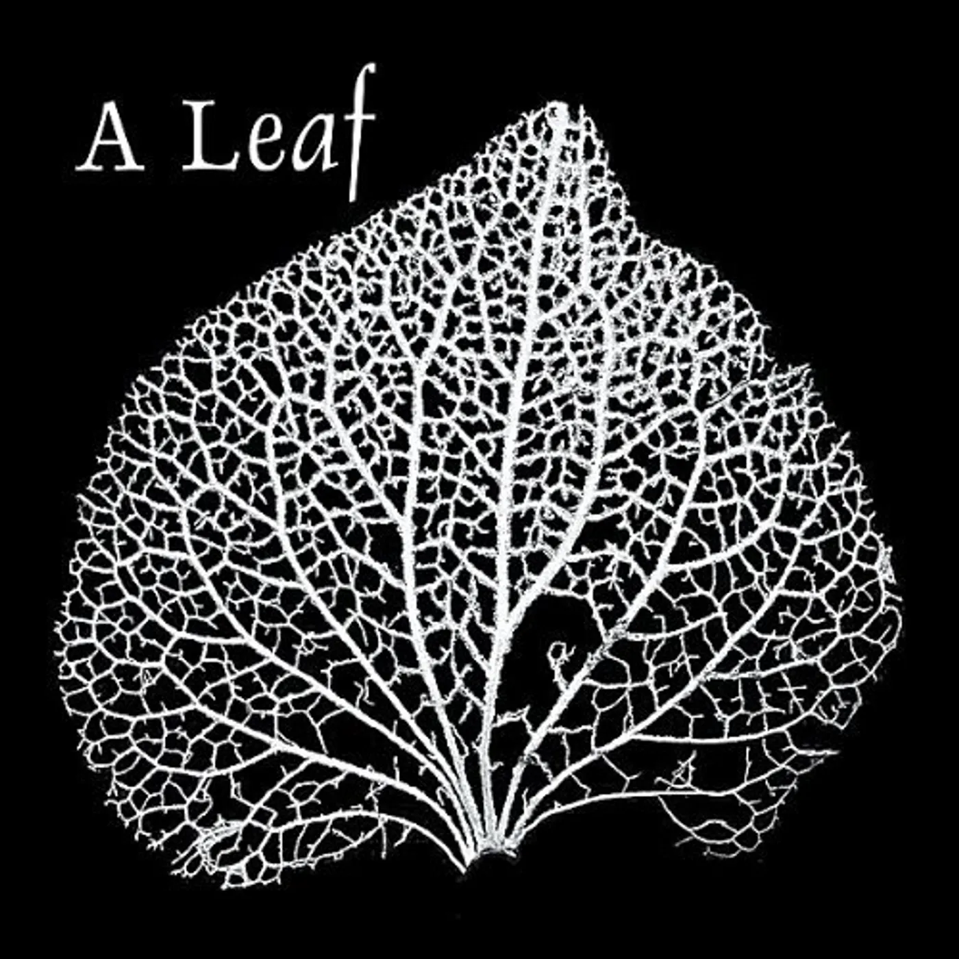 LeaF EP CD