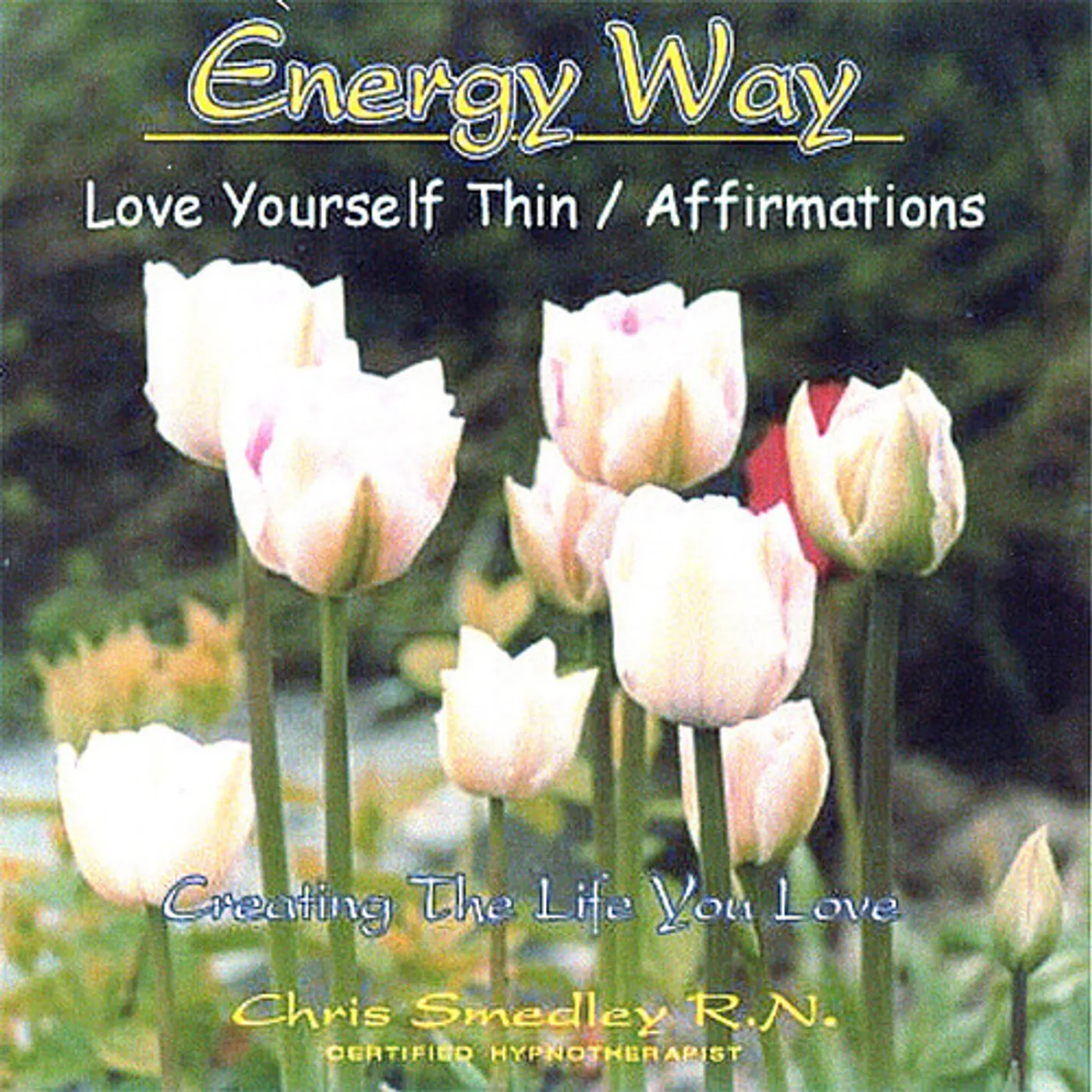 Chris Smedley LOVE YOURSELF THIN/AFFIRMATIONS CD