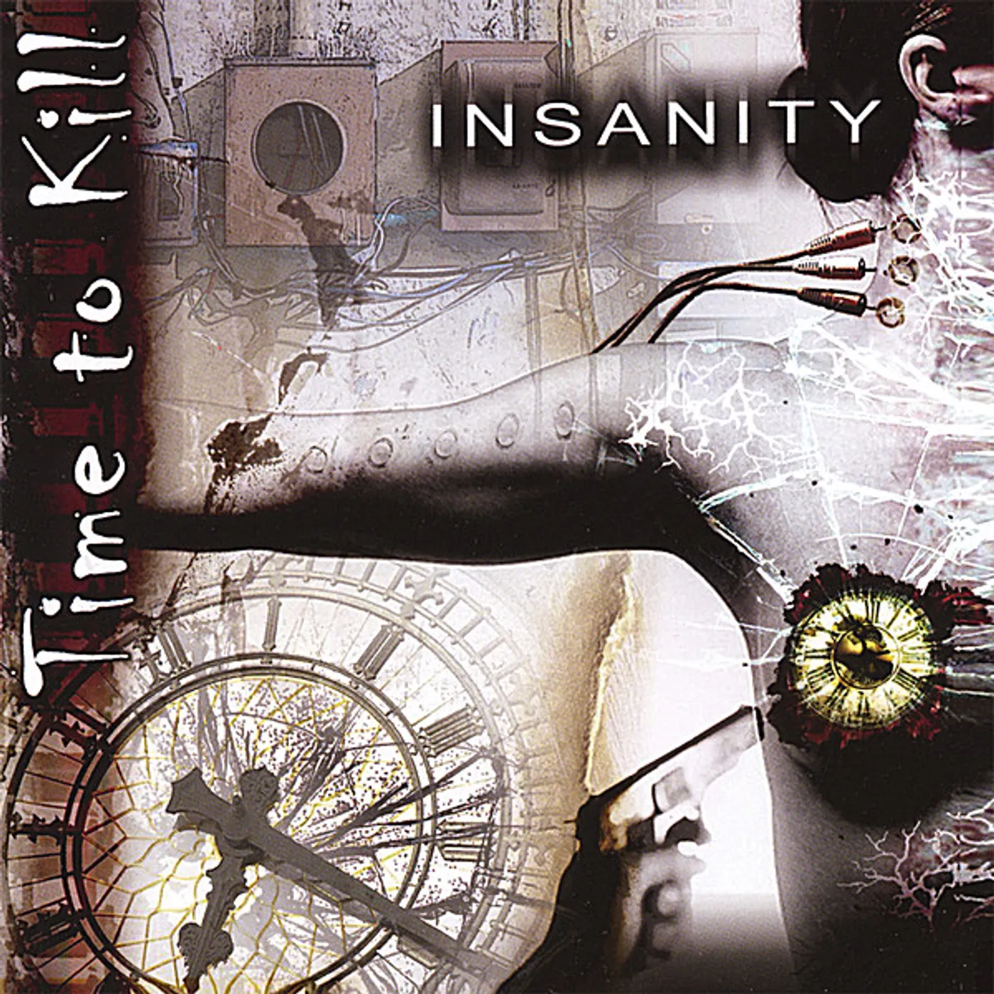 Time To Kill INSANITY CD