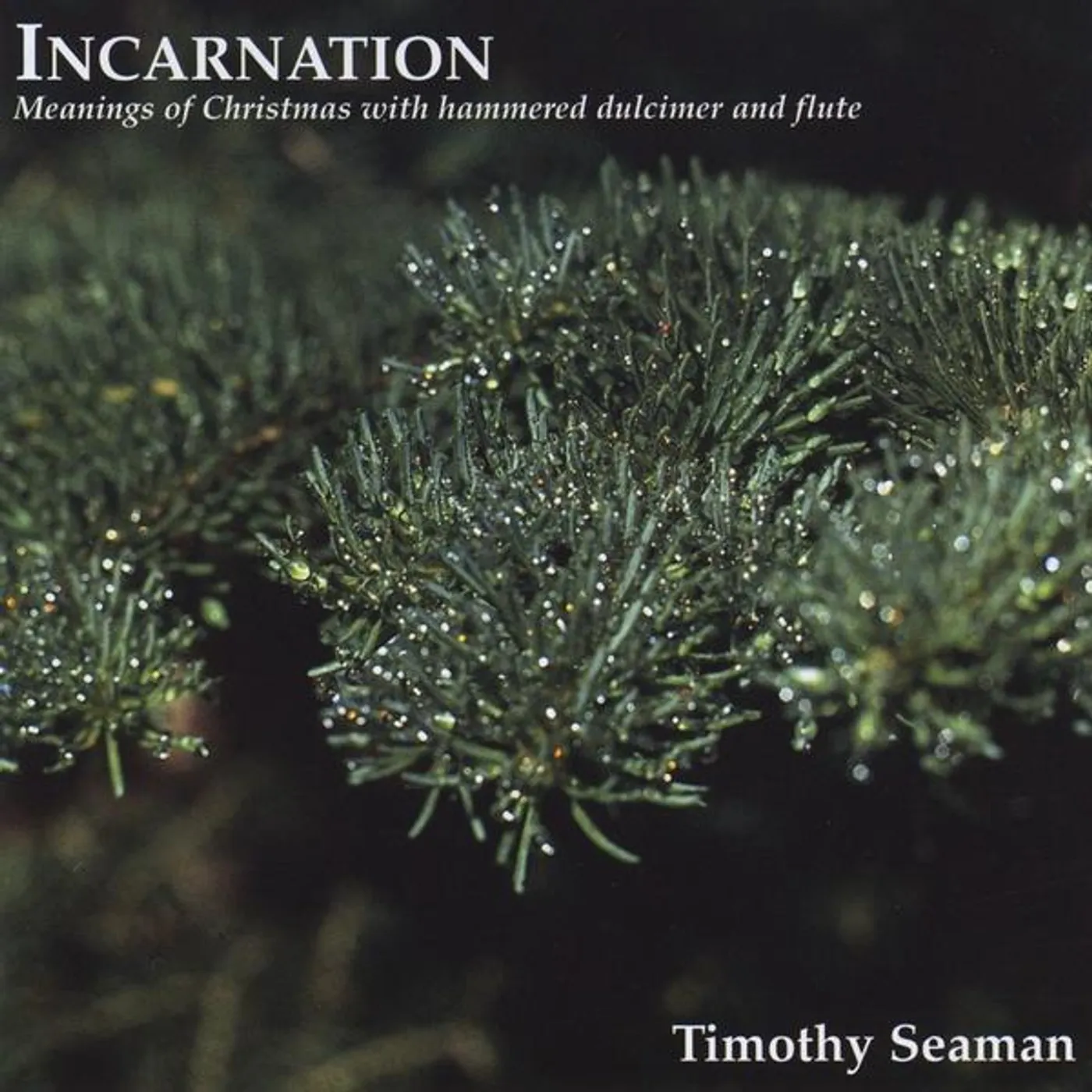 Timothy Seaman INCARNATION CD