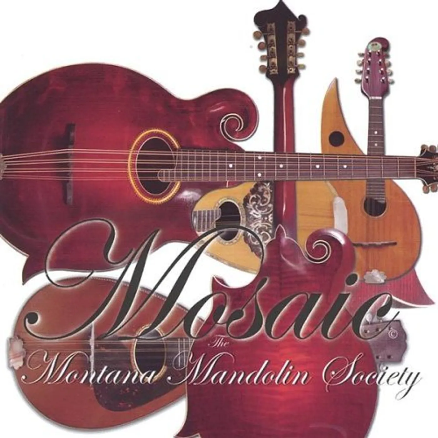 Montana Mandolin Society AS FAR AS I CAN SEE CD