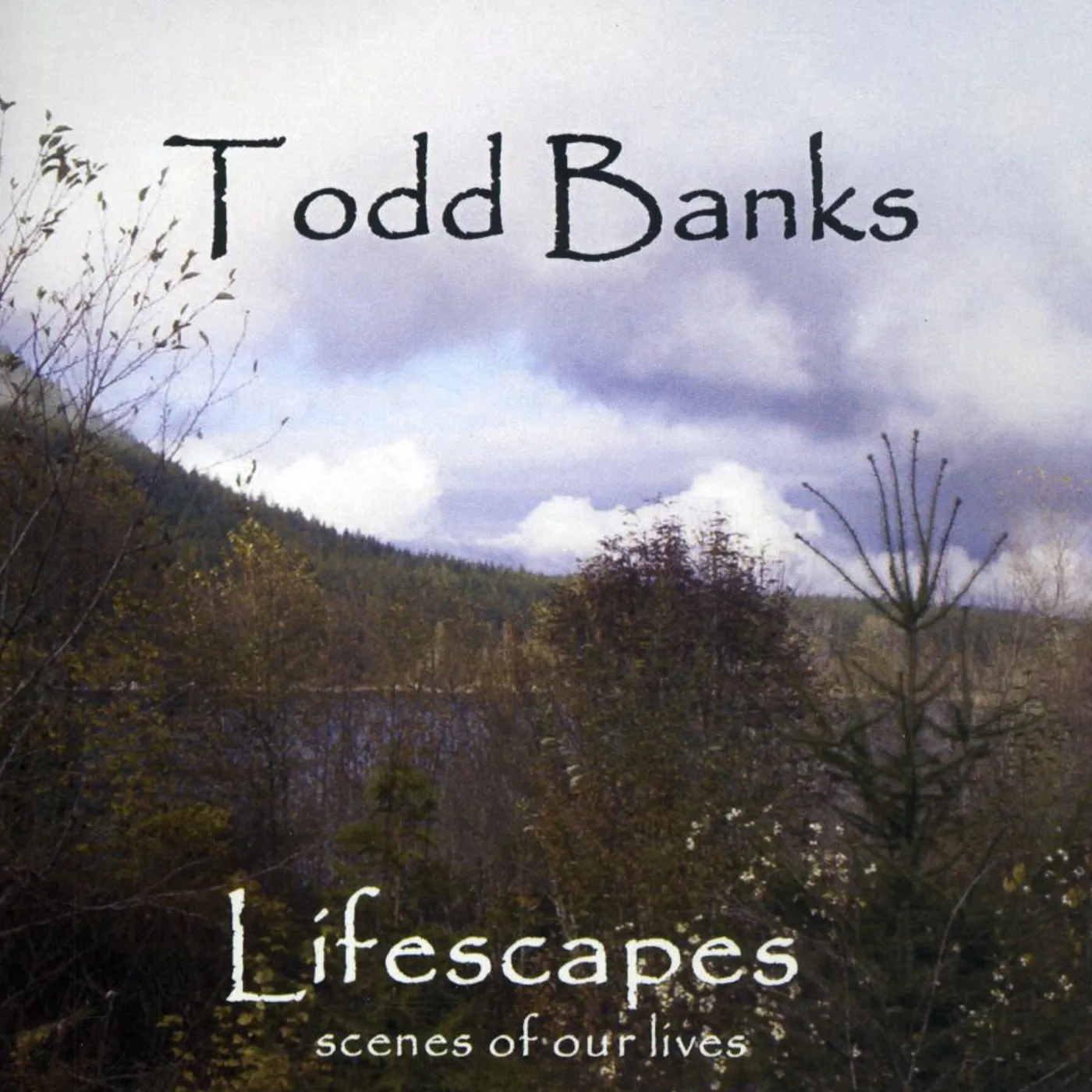 Todd Banks LIFESCAPES CD