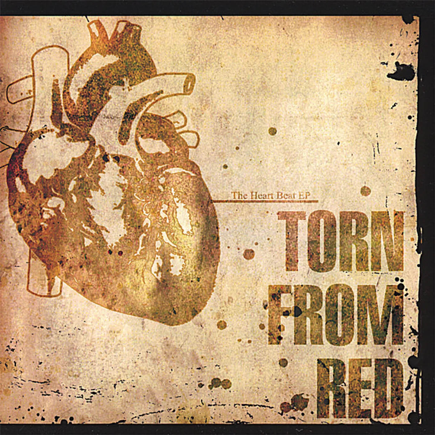 Torn From Red HEART BEAT CD
