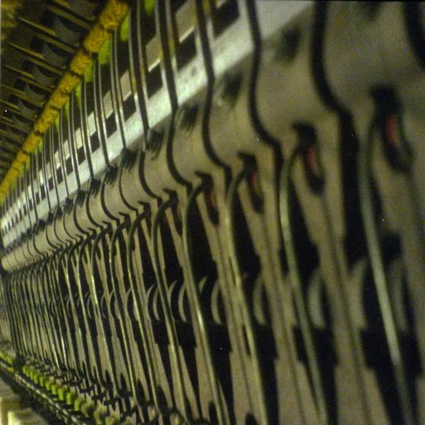 TORRENTIAL DOWNPOUR CD