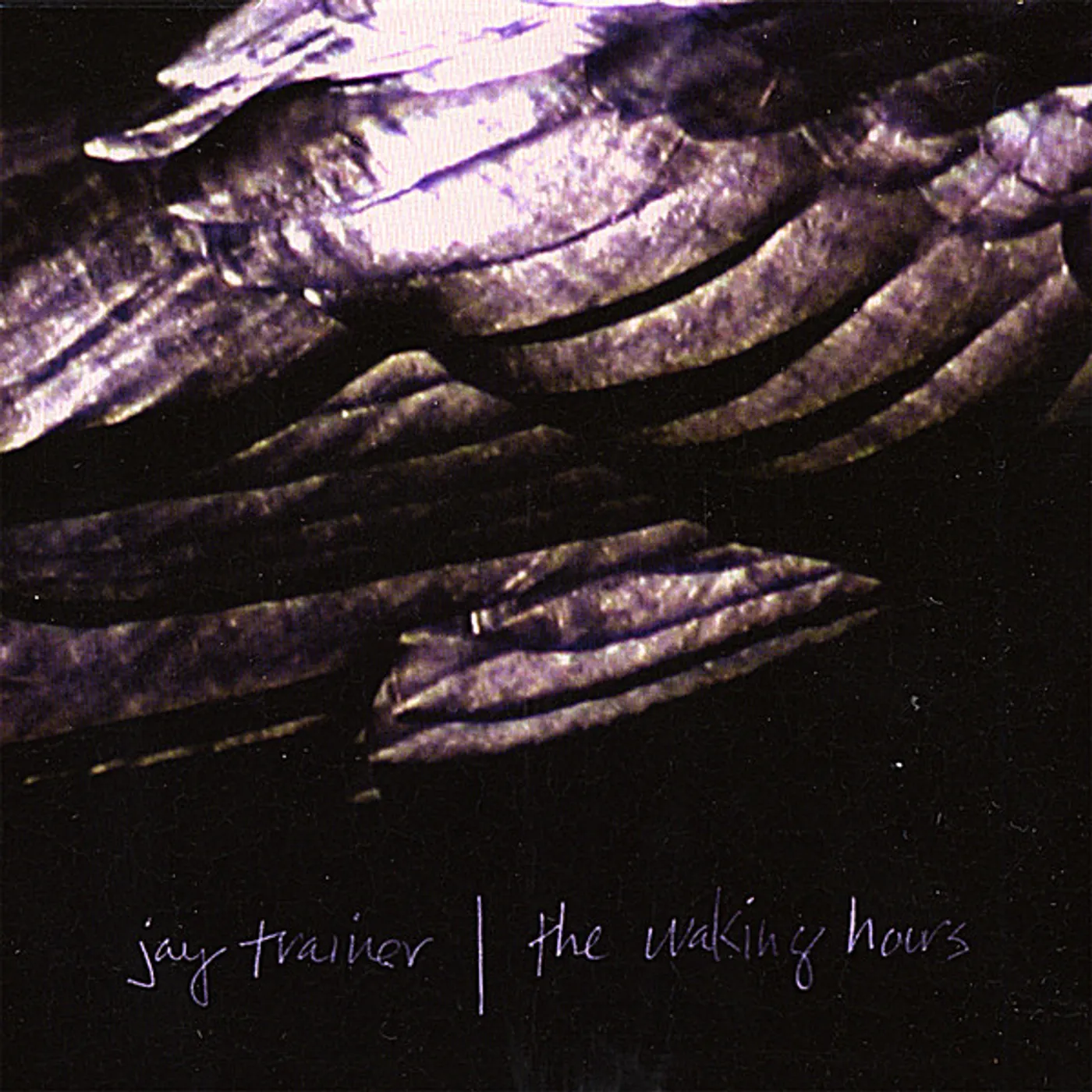 Jay Trainer WAKING HOURS CD