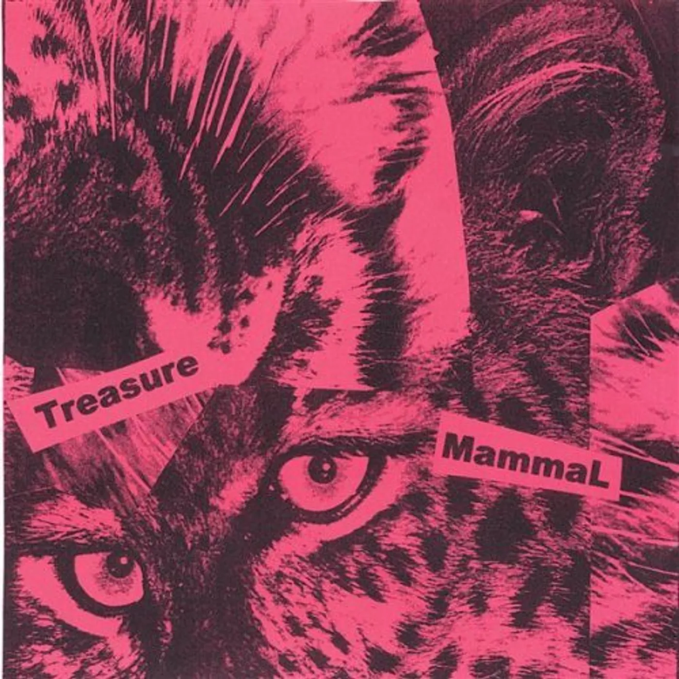 TREASURE MAMMAL CD
