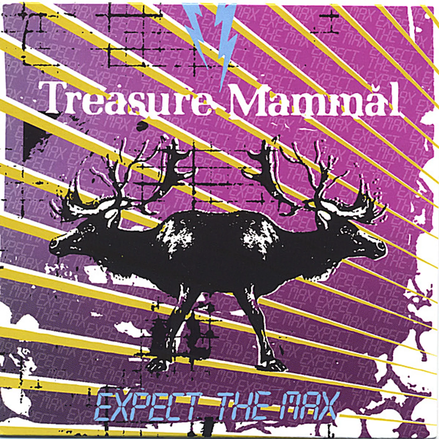 Treasure Mammal EXPECT THE MAX CD