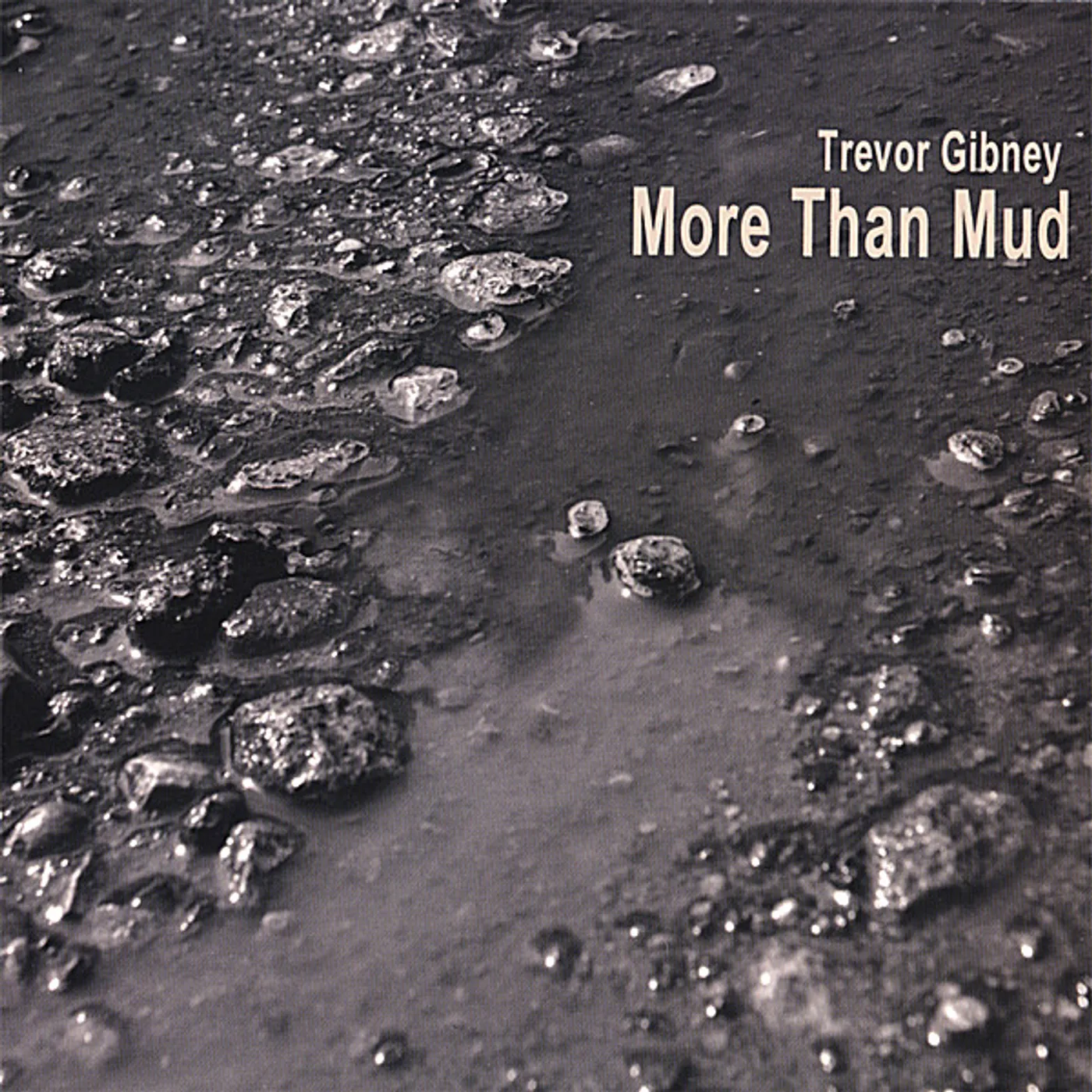Trevor Gibney MORE THAN MUD CD