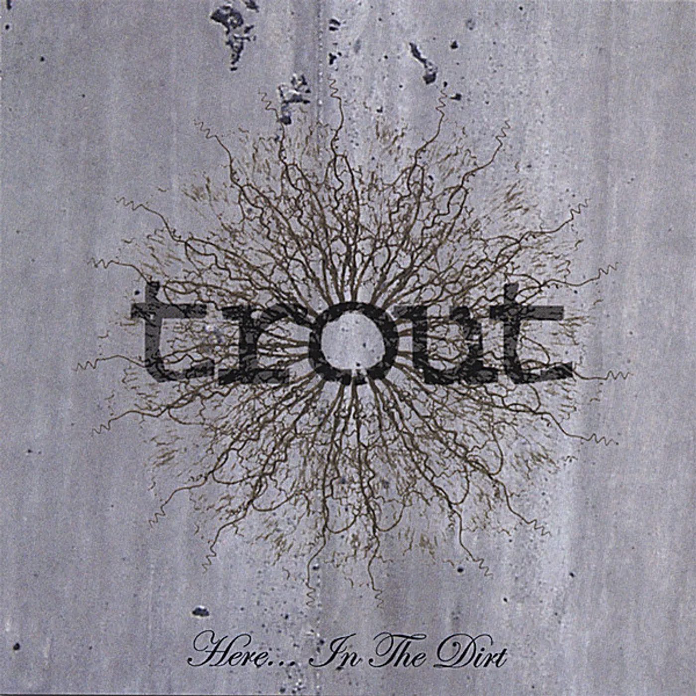 Trout HERE IN THE DIRT CD