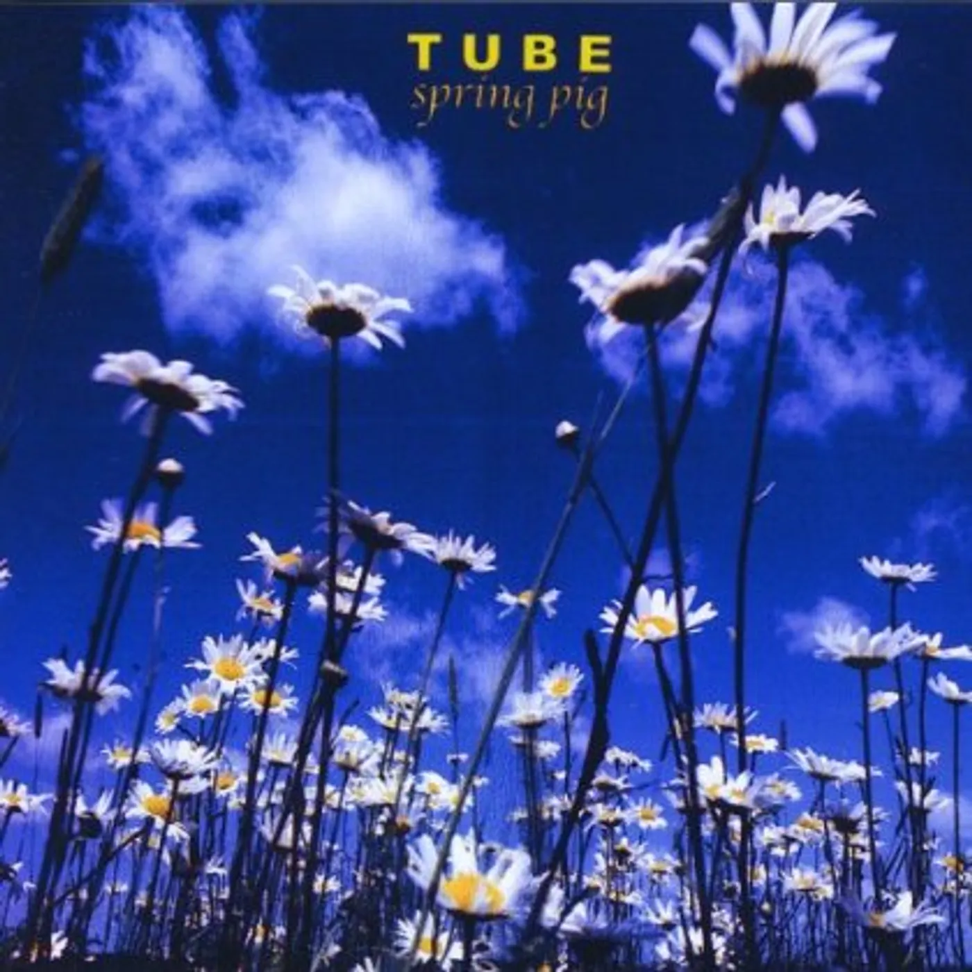Tube SPRING PIG CD