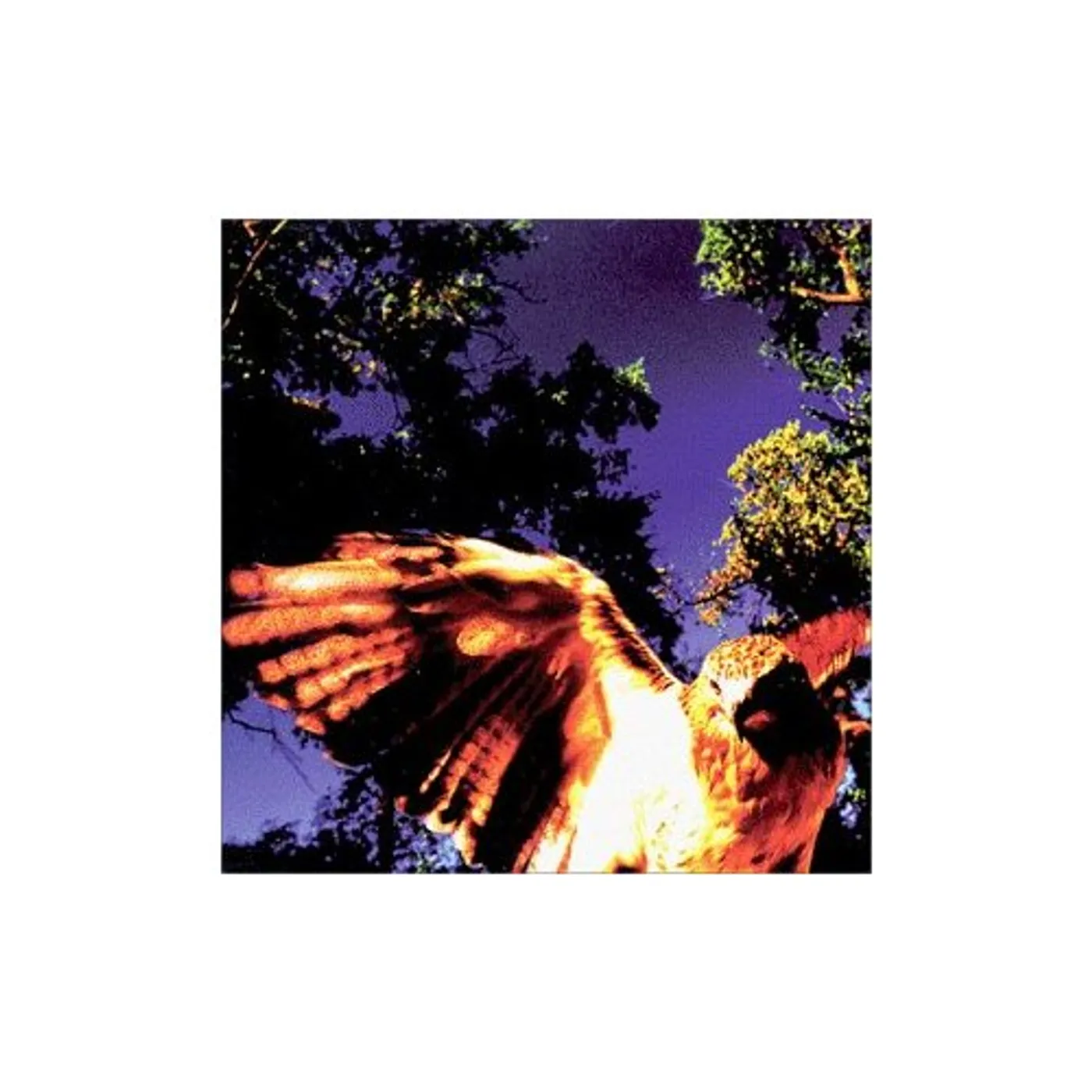 Art Turner RED HAVENS RISING CD