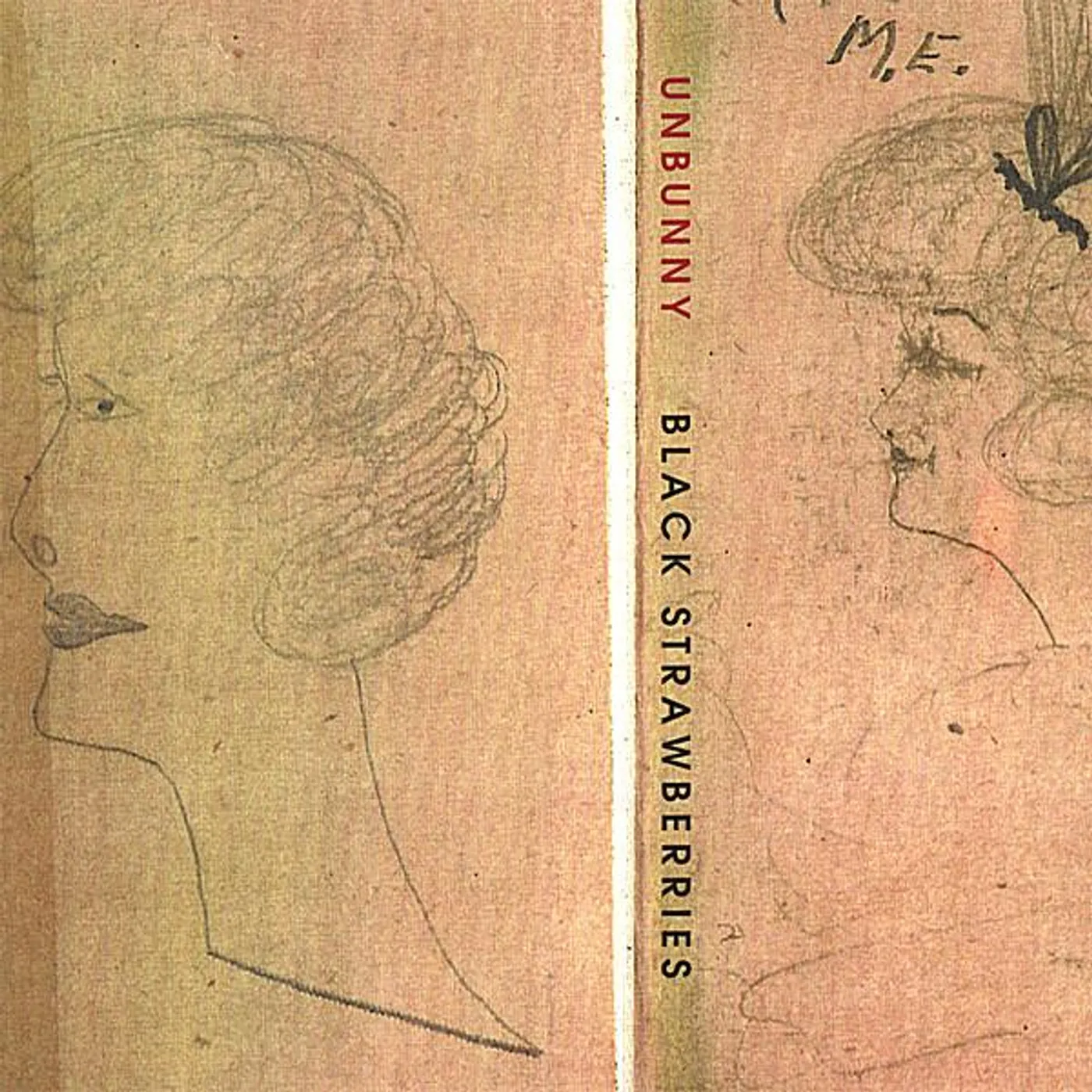 Unbunny BLACK STRAWBERRIES CD