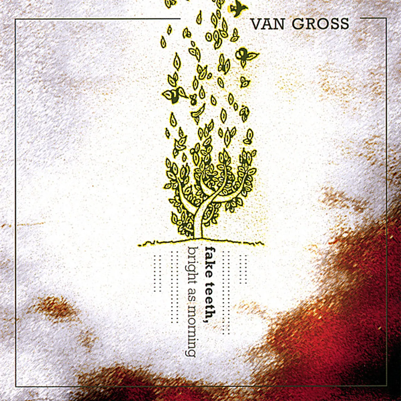 Van Gross FAKE TEETH BRIGHT AS MORNING CD