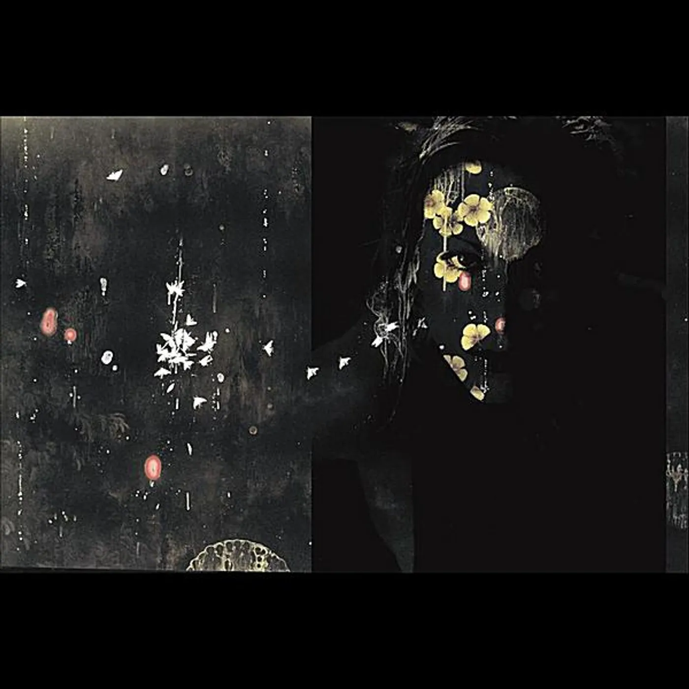 Tamsin M VERDICT TO ROAM CD
