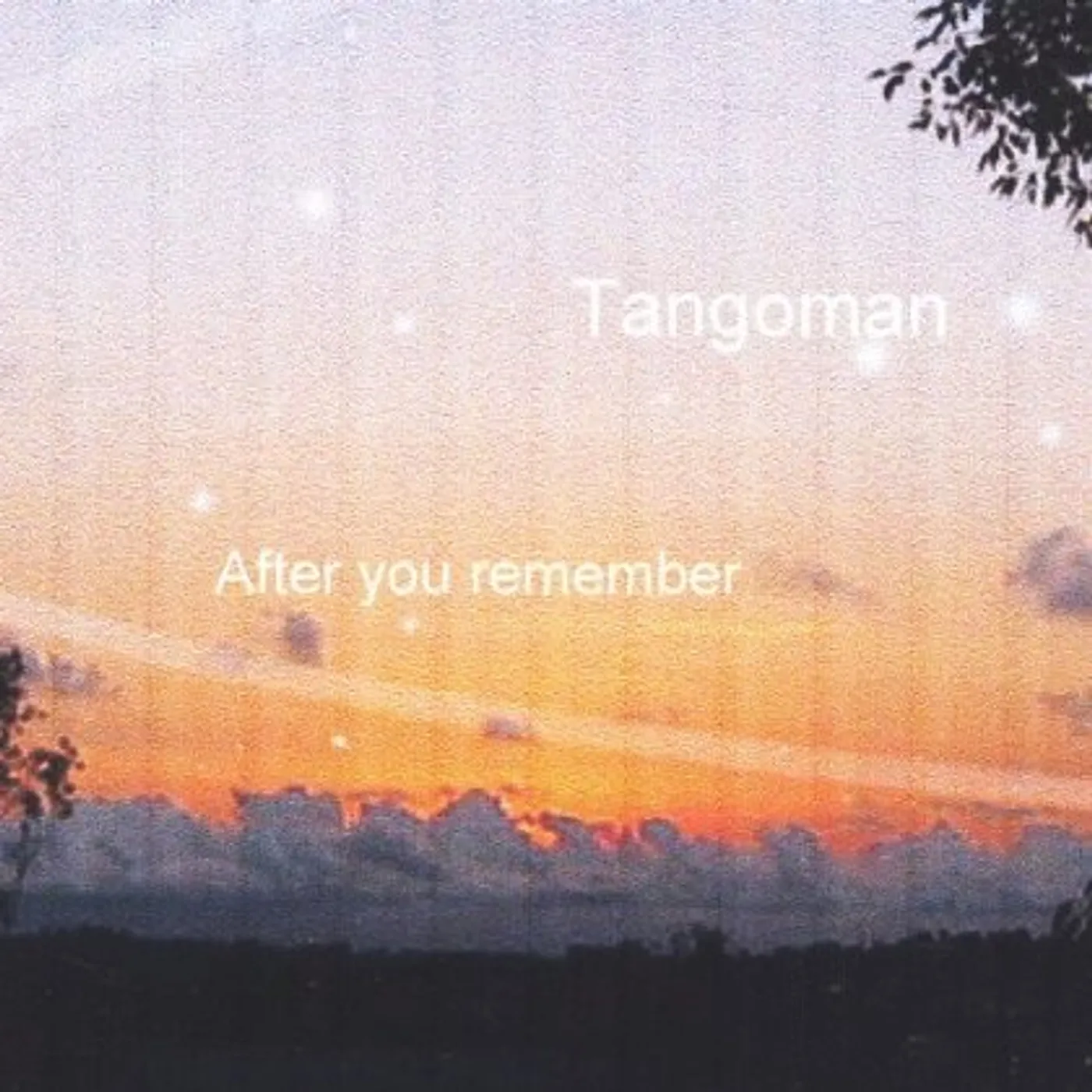 Tangoman AFTER YOU REMEMBER CD