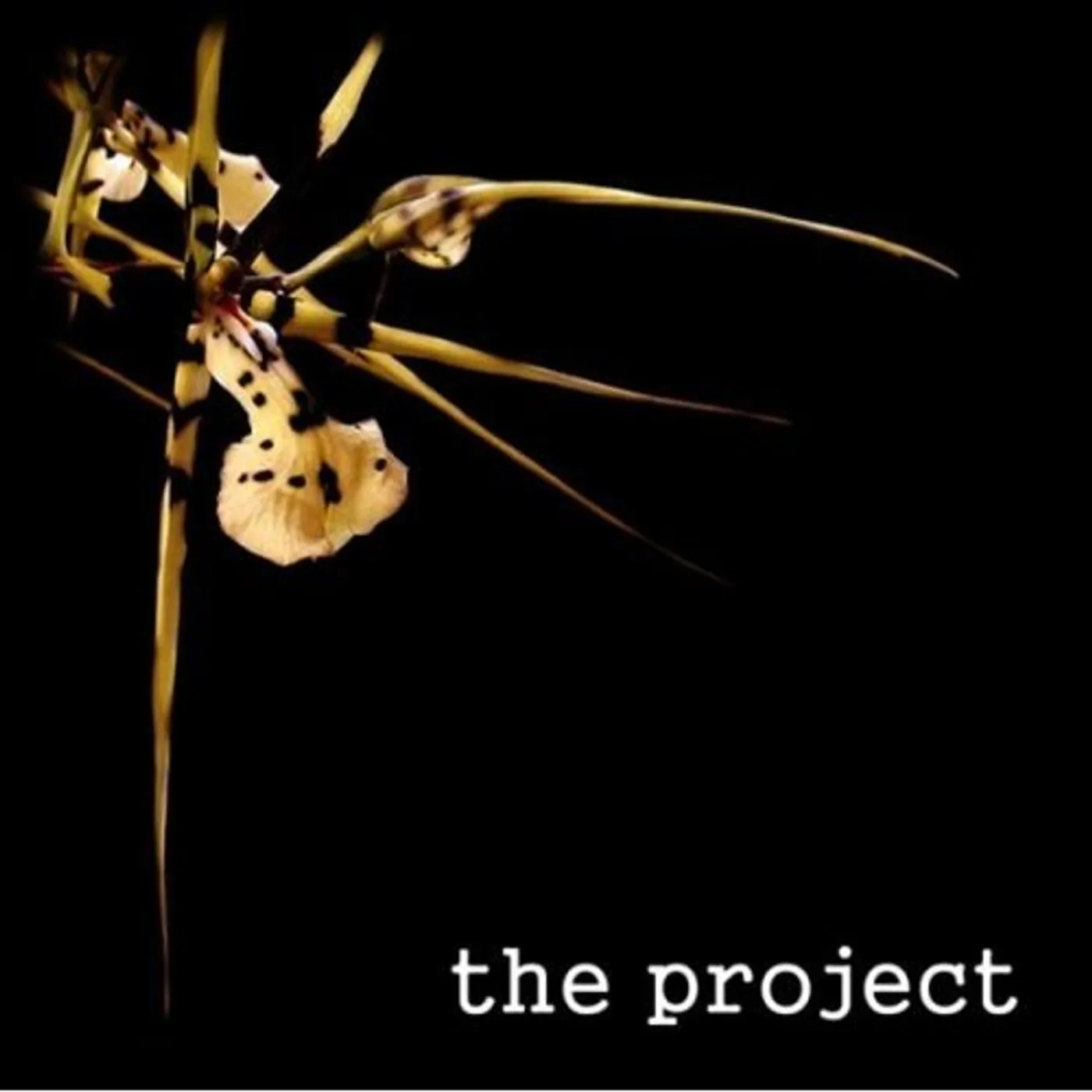 PROJECT CD