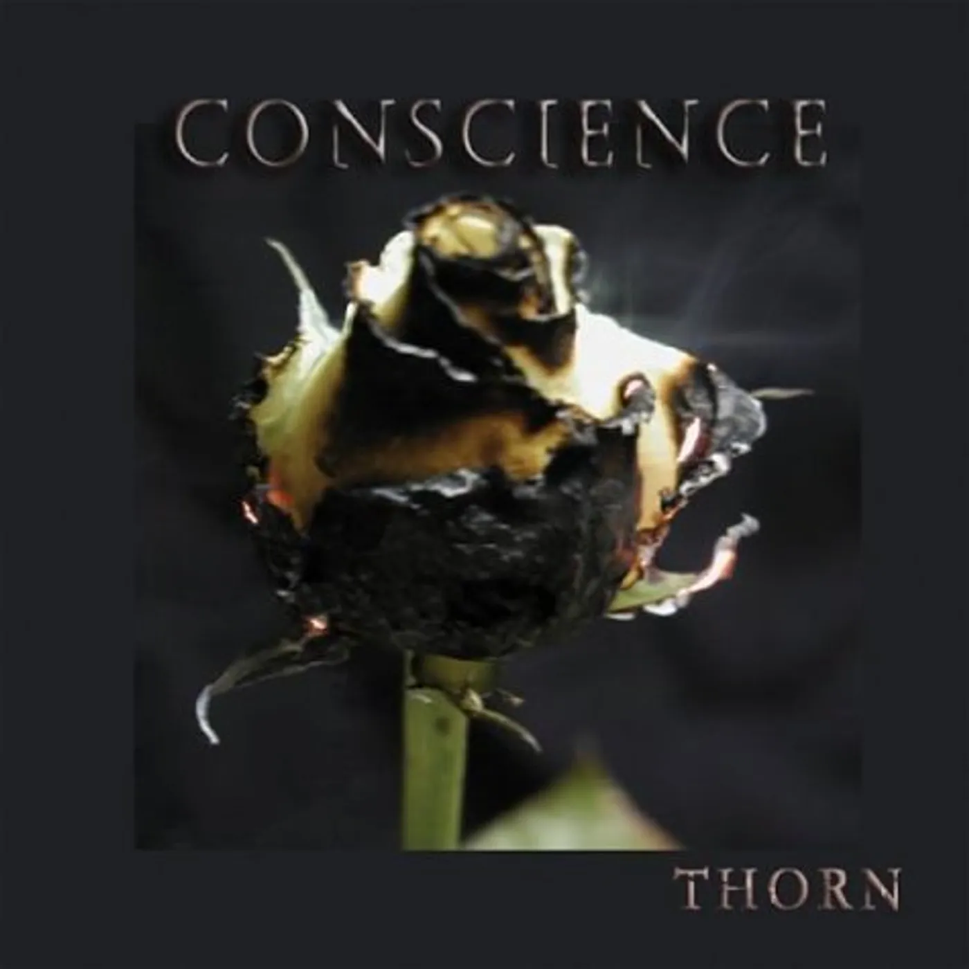Thorn CONSCIENCE CD