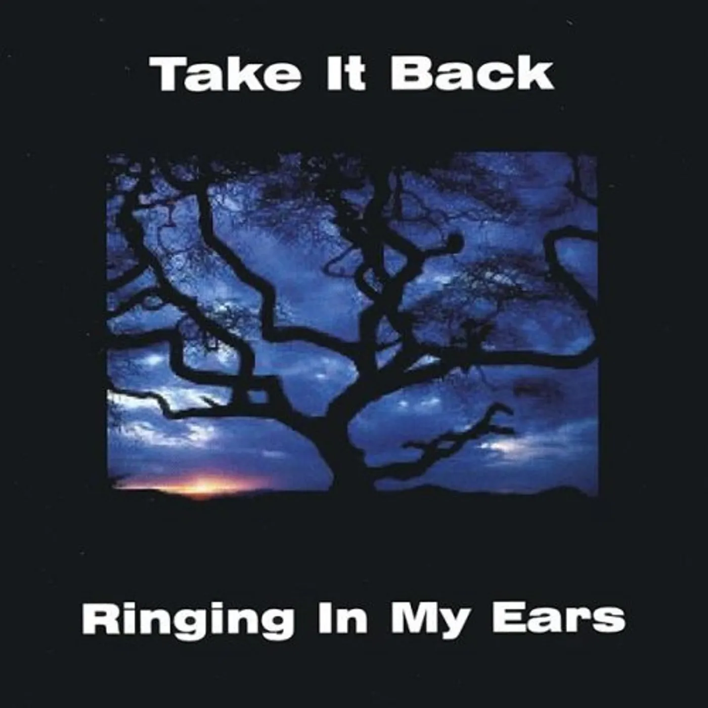 Take it Back RINGING IN MY EARS CD