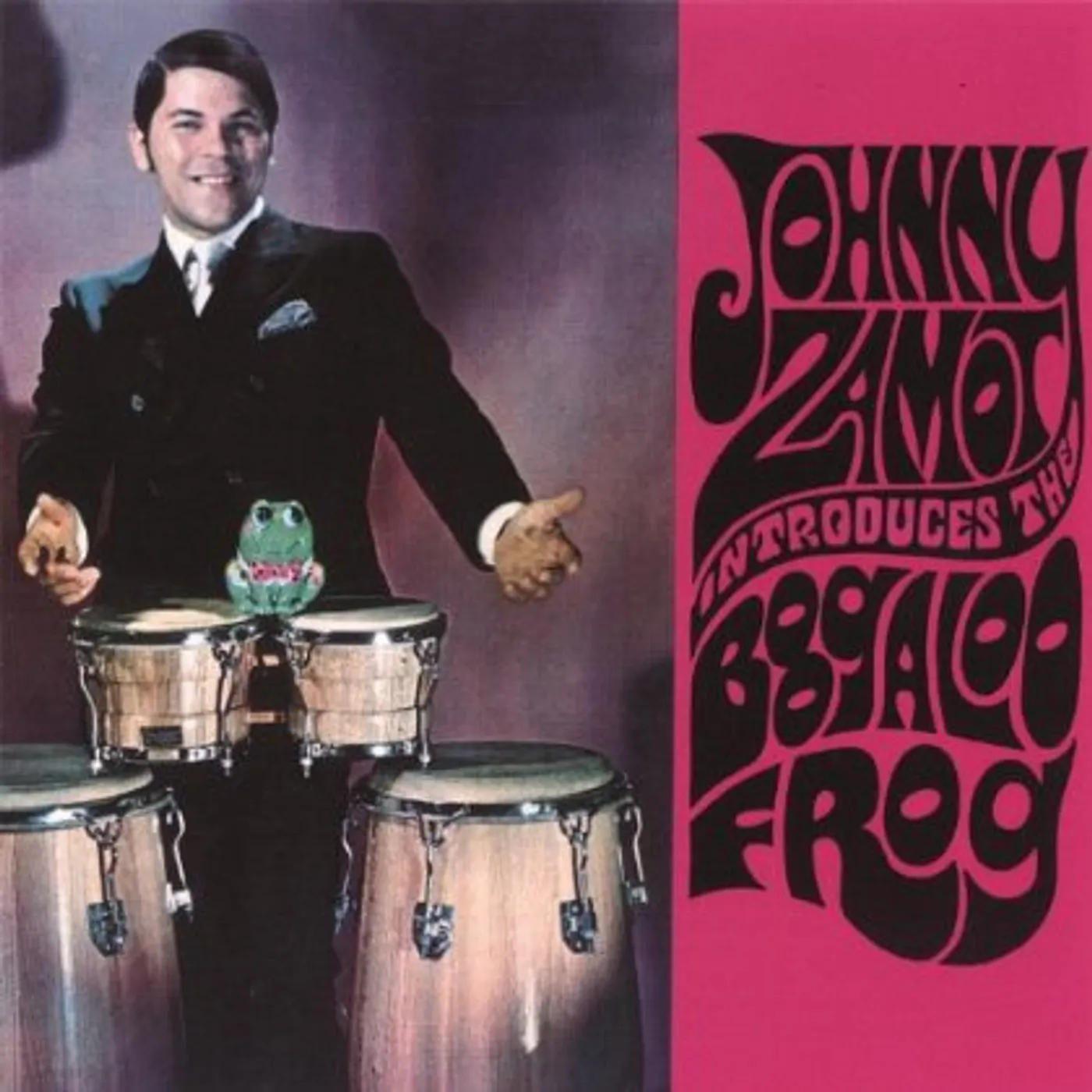 JOHNNY ZAMOT INTRODUCES THE BOOGALOO FROG CD