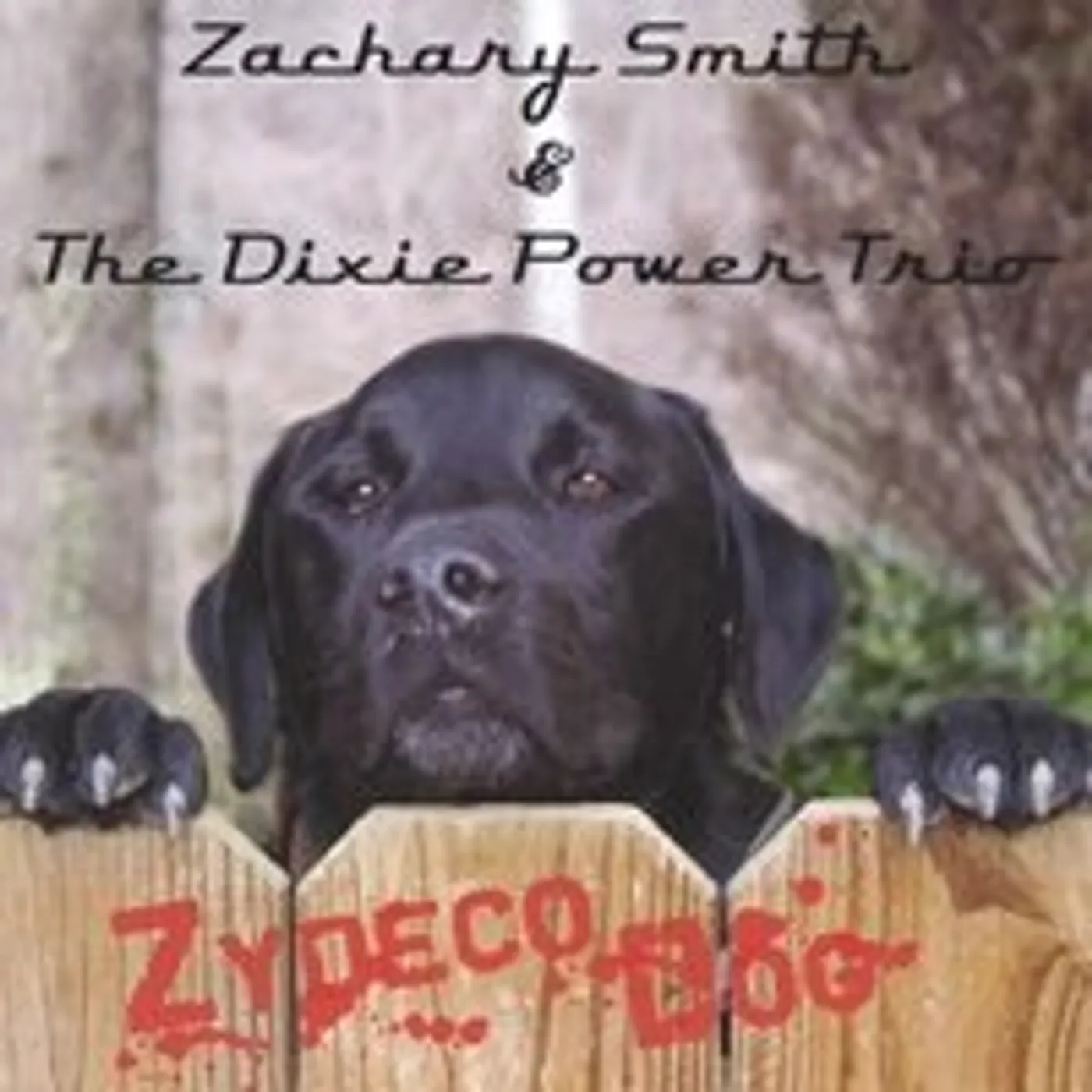Zachary Smith & The Dixie Power Trio ZYDECO DOG CD