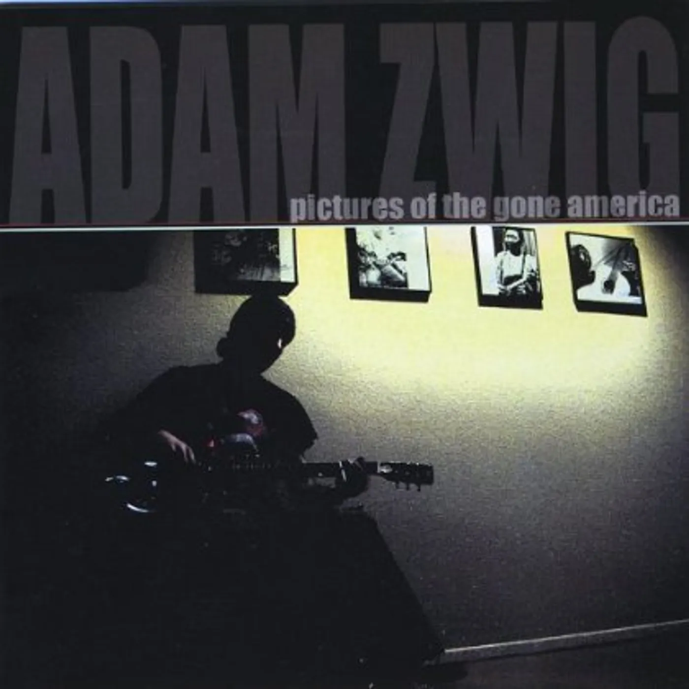 Adam Zwig PICTURES OF THE GONE AMERICA CD