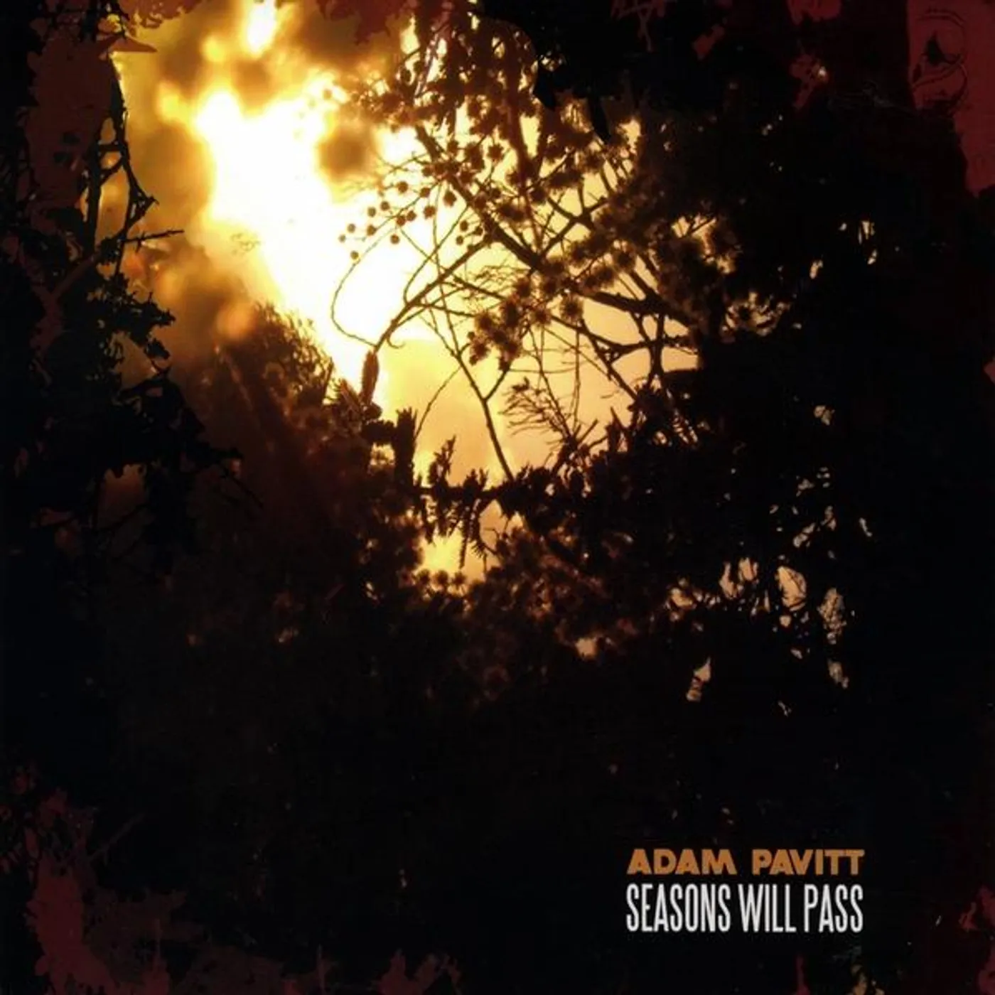 Adam Pavitt SEASONS WILL PASS CD