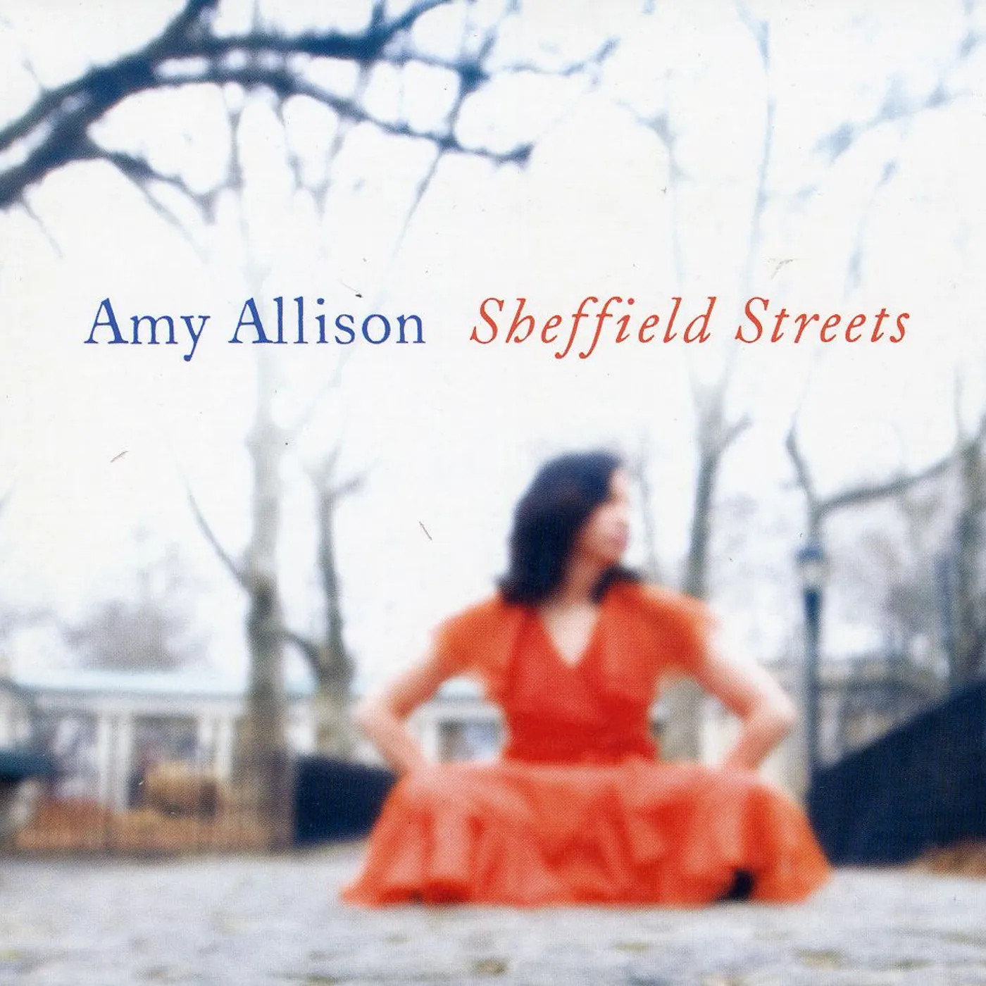 Amy Allison SHEFFIELD STREETS CD
