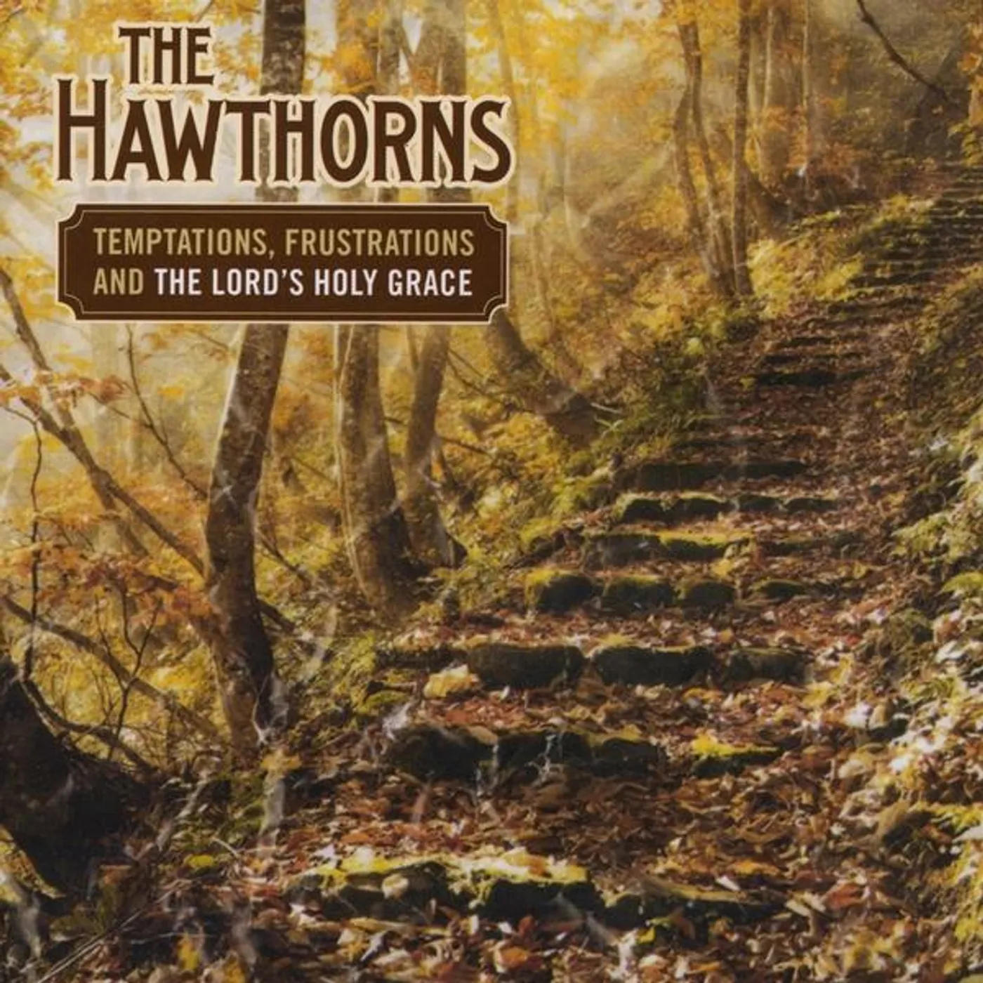 The Hawthorns TEMPTATIONS FRUSTRATIONS & THE LORDS HOLY GRACE CD