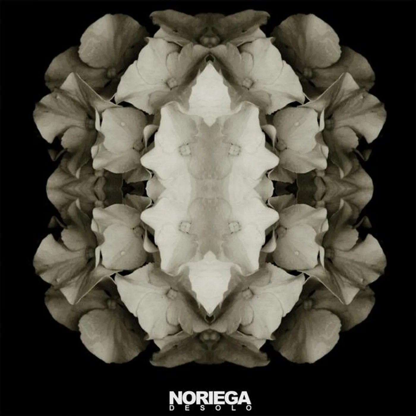 Noriega DESOLO CD