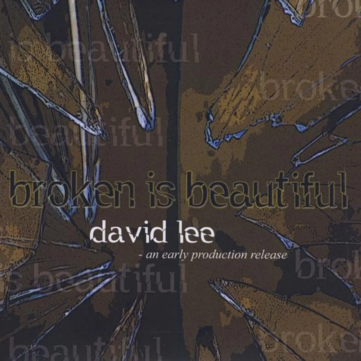 David Lee BROKEN IS BEAUTIFUL CD