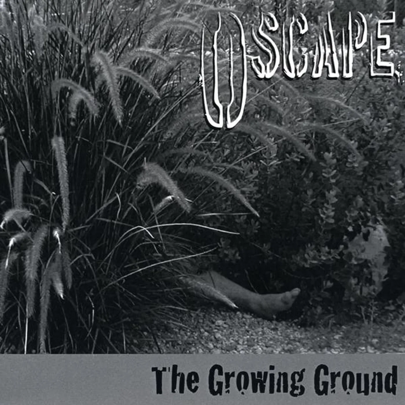 Oscape GROWING GROUND CD