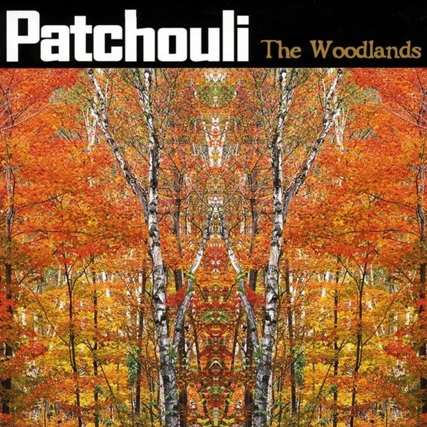 Patchouli WOODLANDS CD