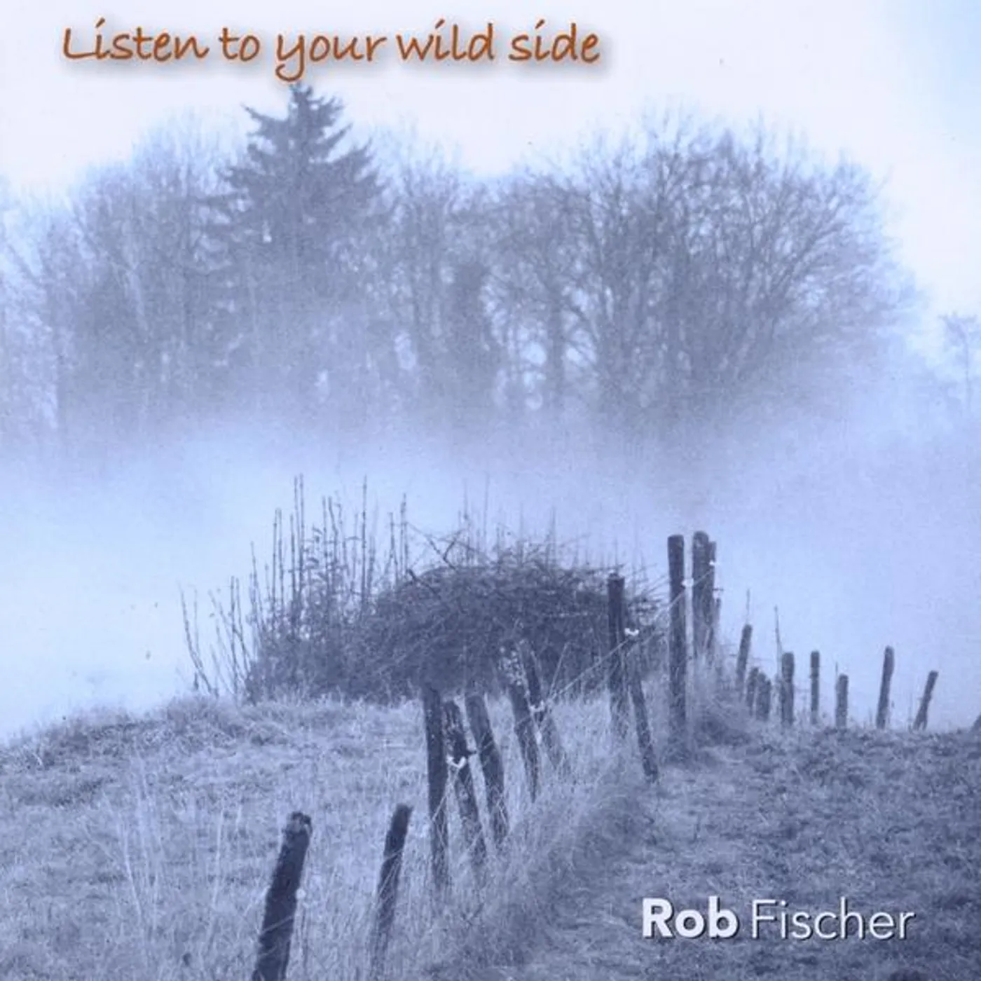 Rob Fischer LISTEN TO YOUR WILD SIDE CD