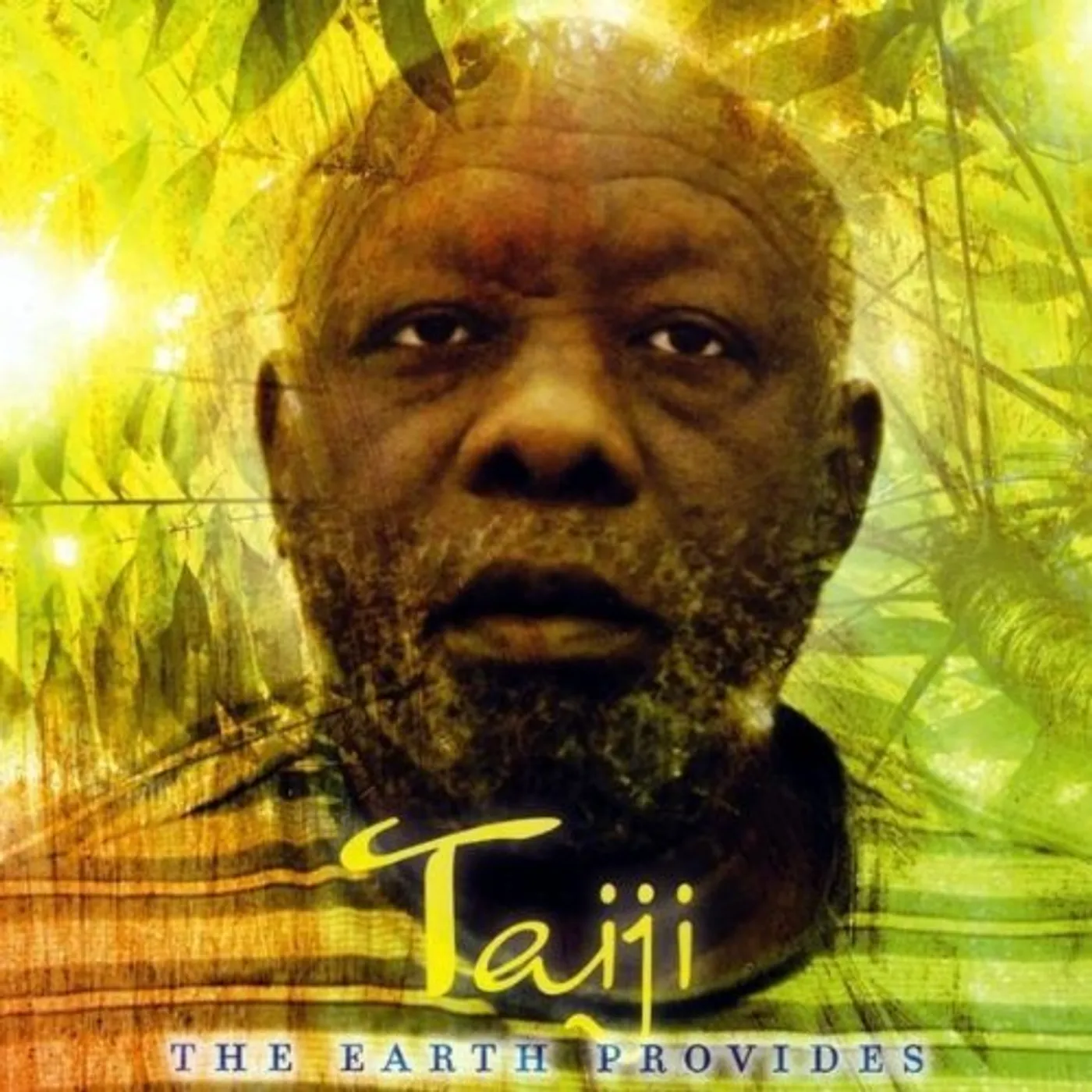 Taiji EARTH PROVIDES CD