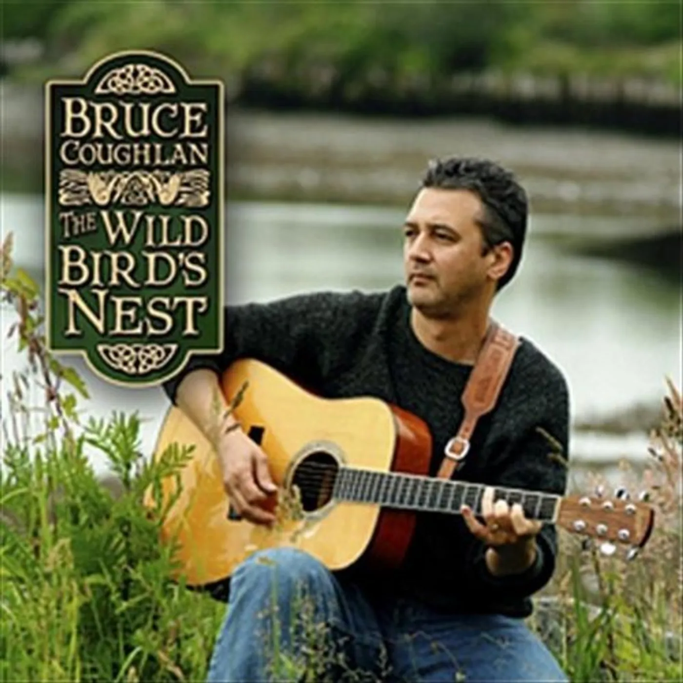 Bruce Coughlan WILD BIRD'S NEST CD