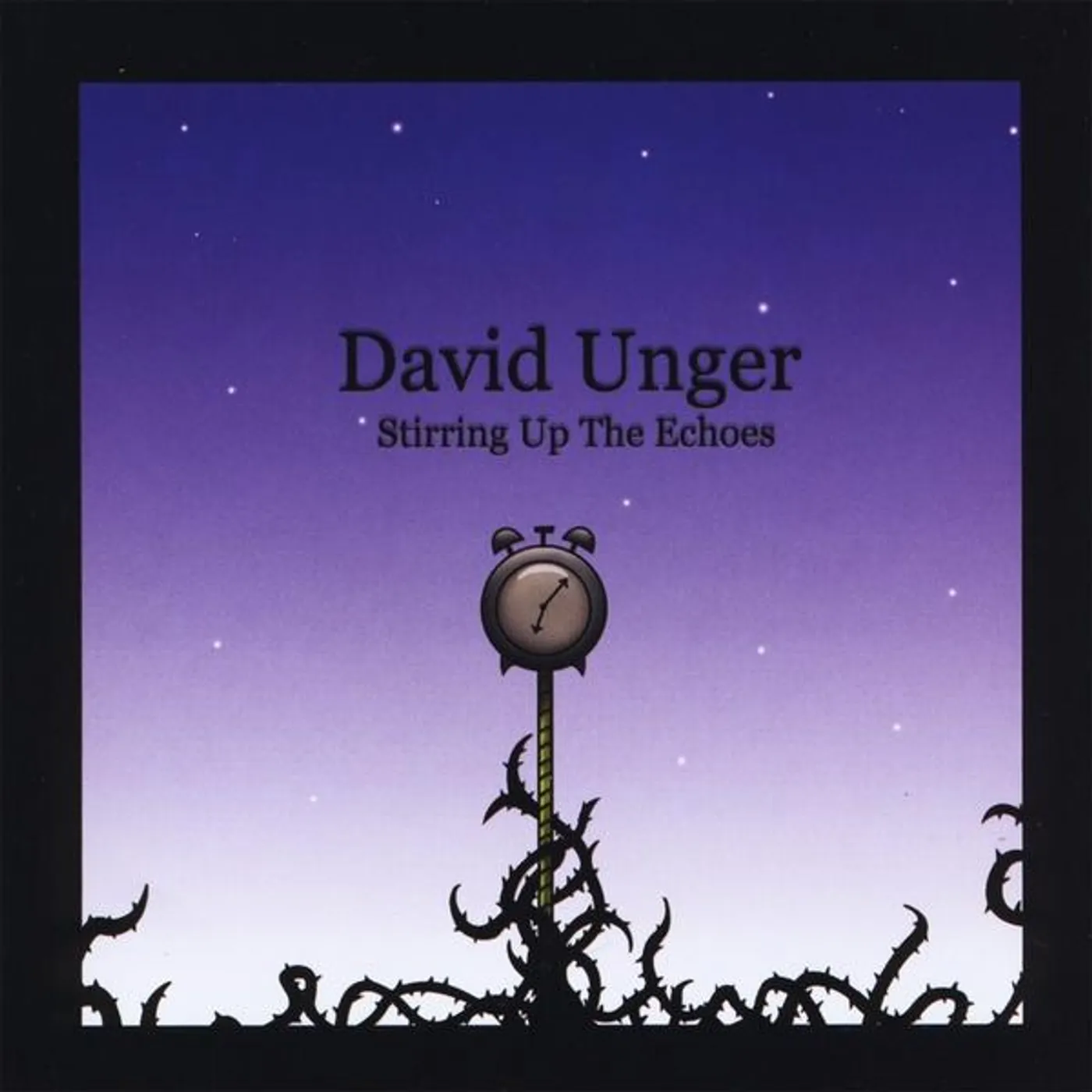 David Unger STIRRING UP THE ECHOES CD