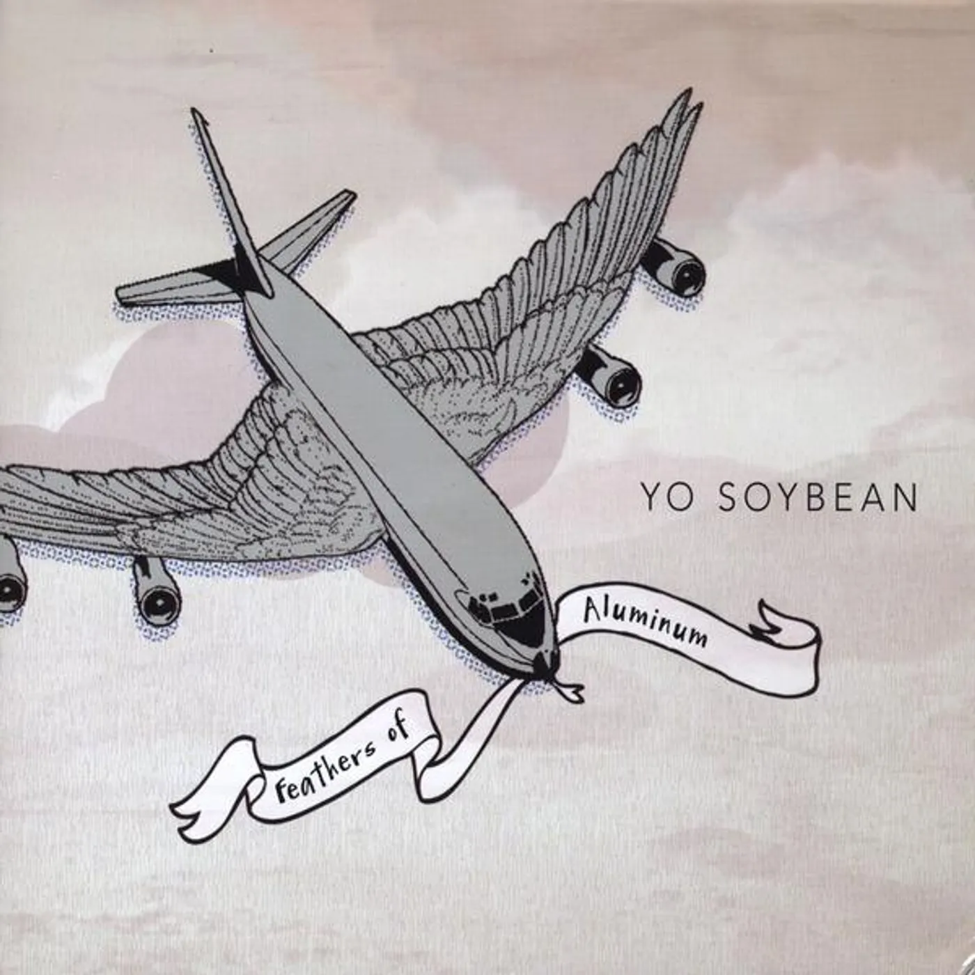 Yo Soybean FEATHERS OF ALUMINUM CD