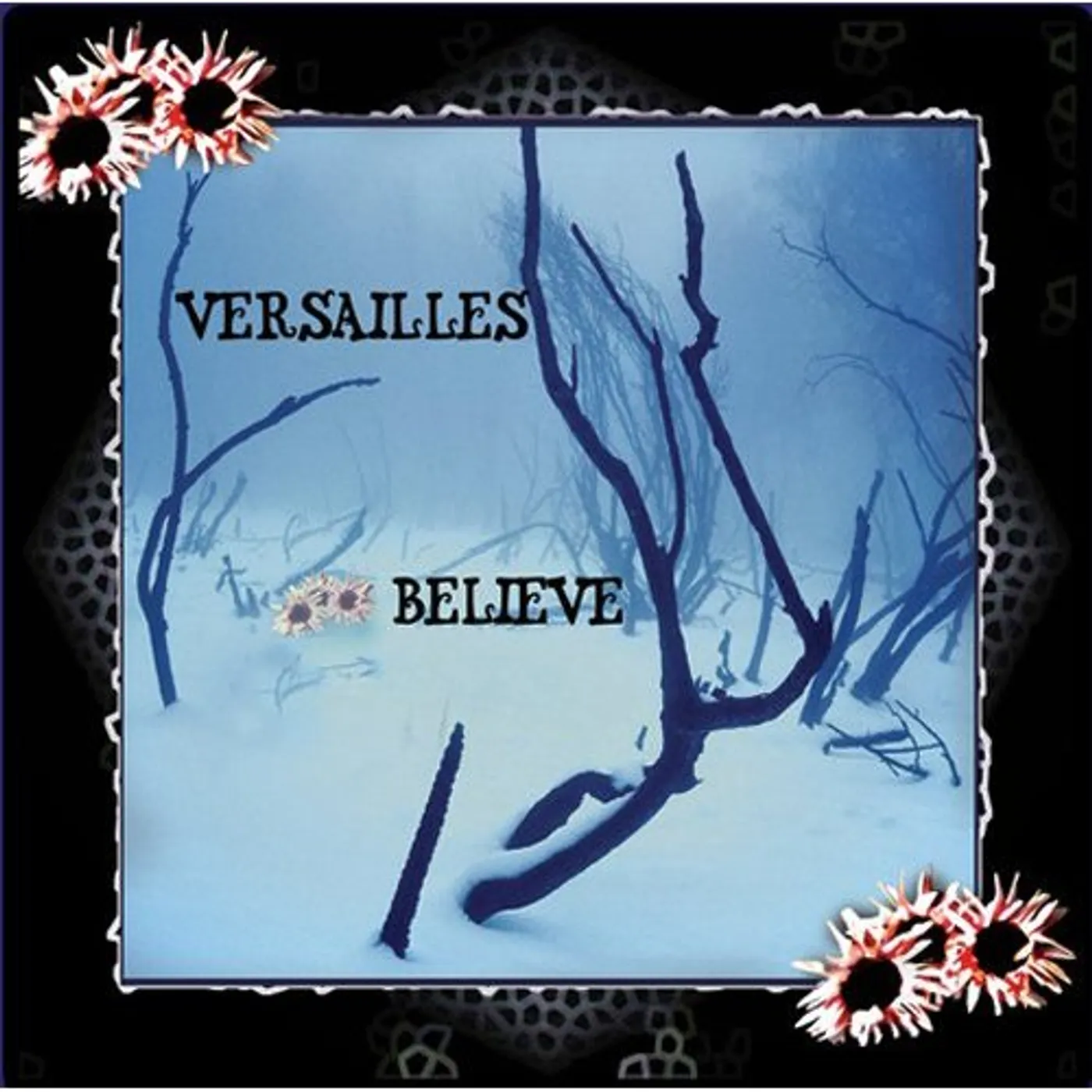 Versailles BELIEVE CD