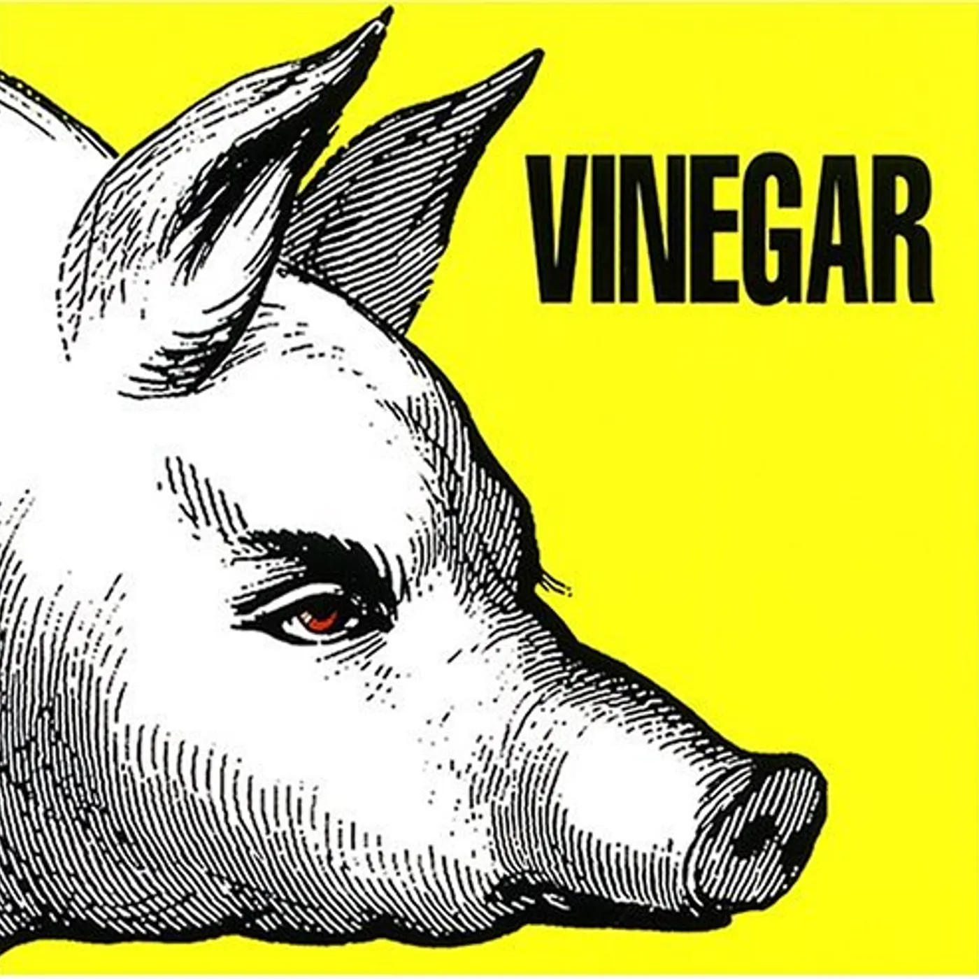 Vinegar ROCK FETISH CD