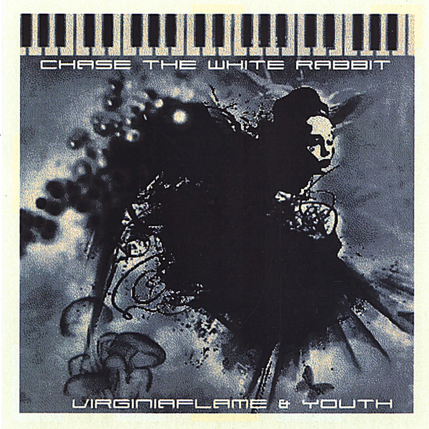 Virginiaflame & Youth CHASE THE WHITE RABBIT CD