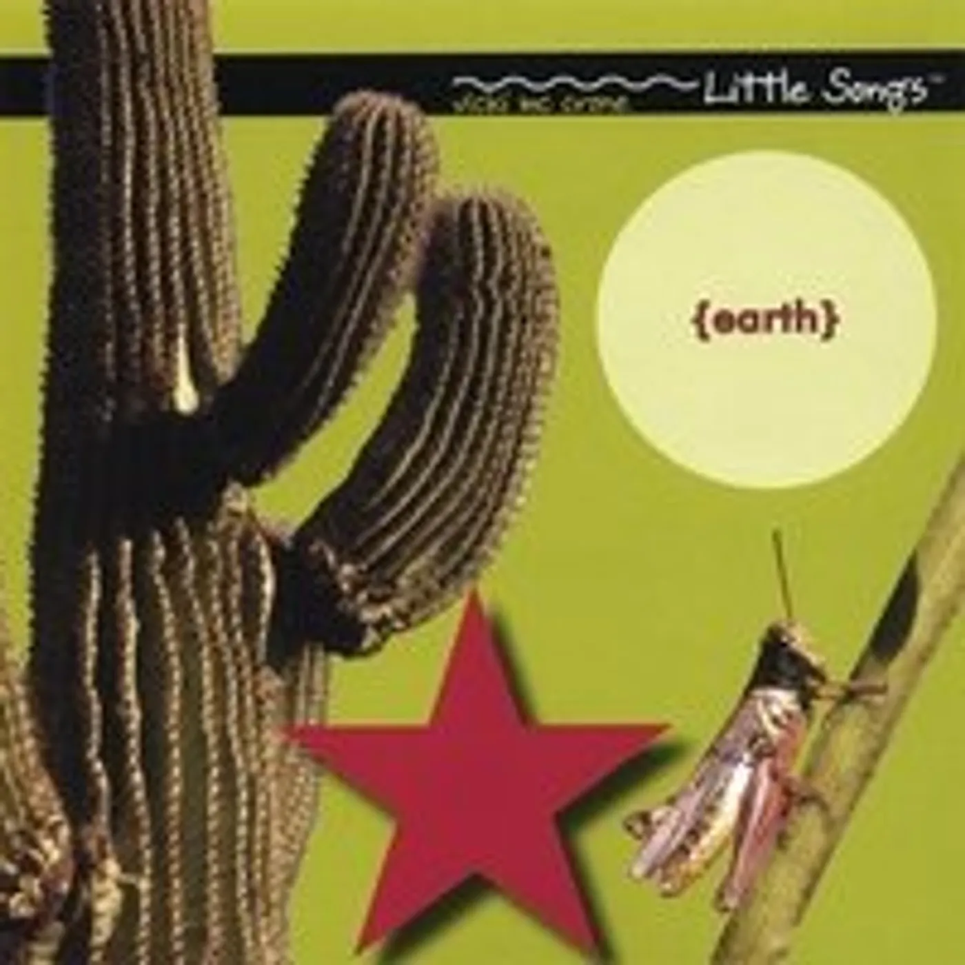 Vicki McCrone LITTLE SONGS (EARTH) CD