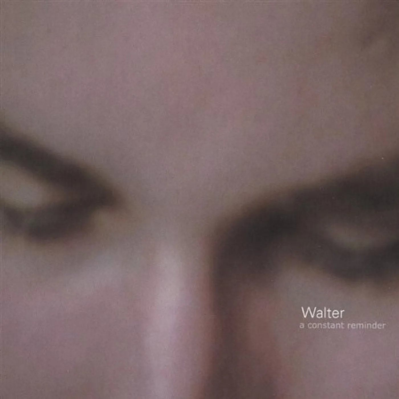 Walter CONSTANT REMINDER CD