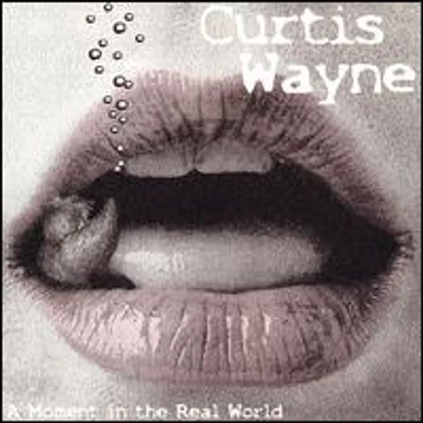 Curtis Wayne MOMENT IN THE REAL WORLD CD