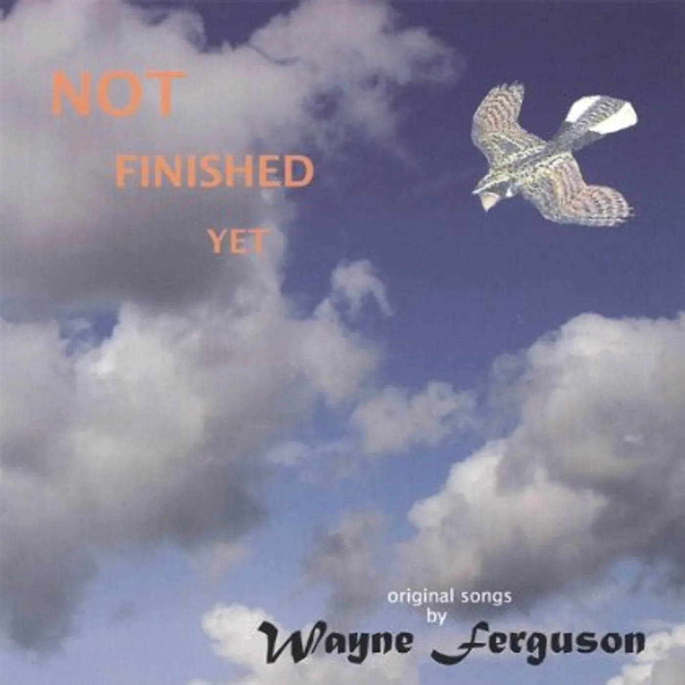 Wayne Ferguson NOT FINISHED YET CD