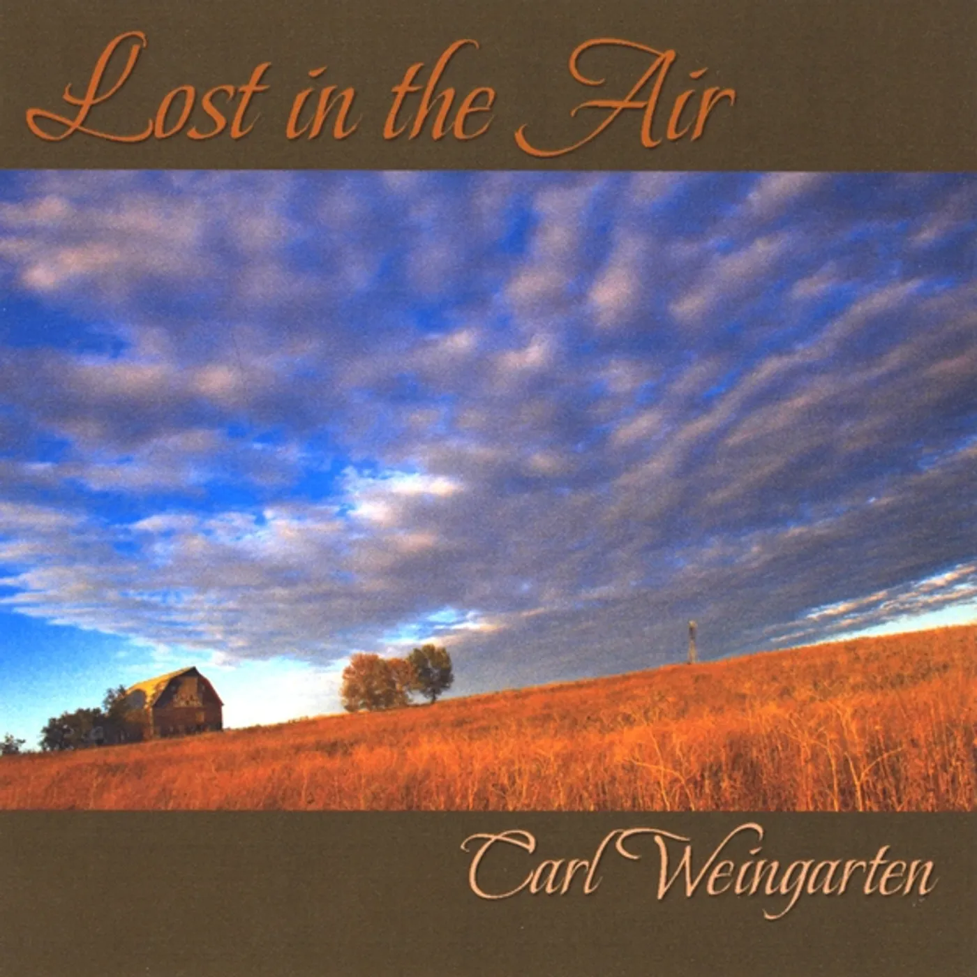 Carl Weingarten LOST IN THE AIR CD