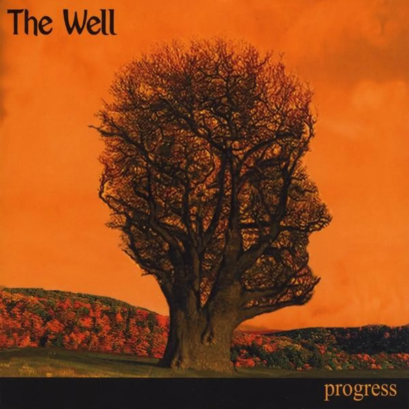 Well PROGRESS CD